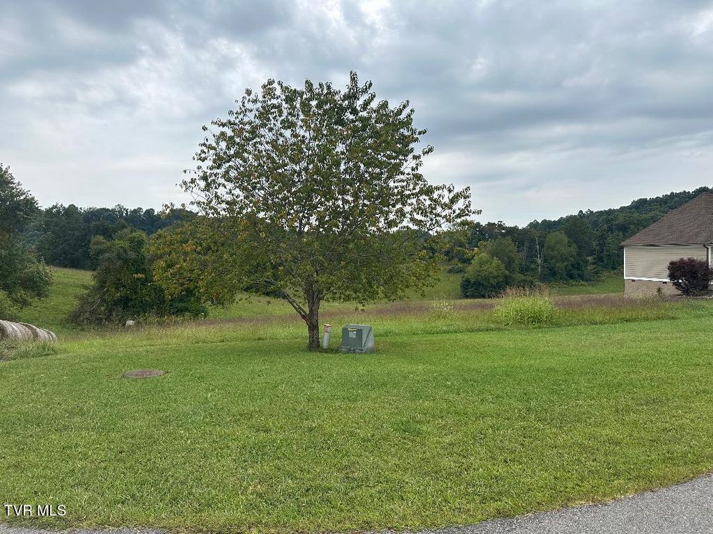Photo of Tbd Walton Ridge Road, Bristol, VA 24202 (MLS # 9985884)