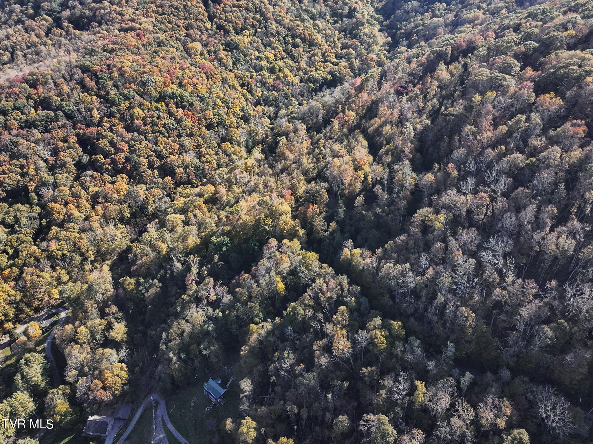 Tbd Calusa Spur, Roan Mountain, Tennessee image 7