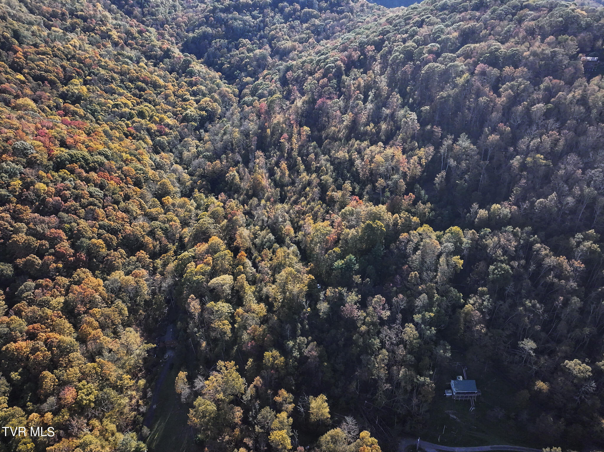 Tbd Calusa Spur, Roan Mountain, Tennessee image 6