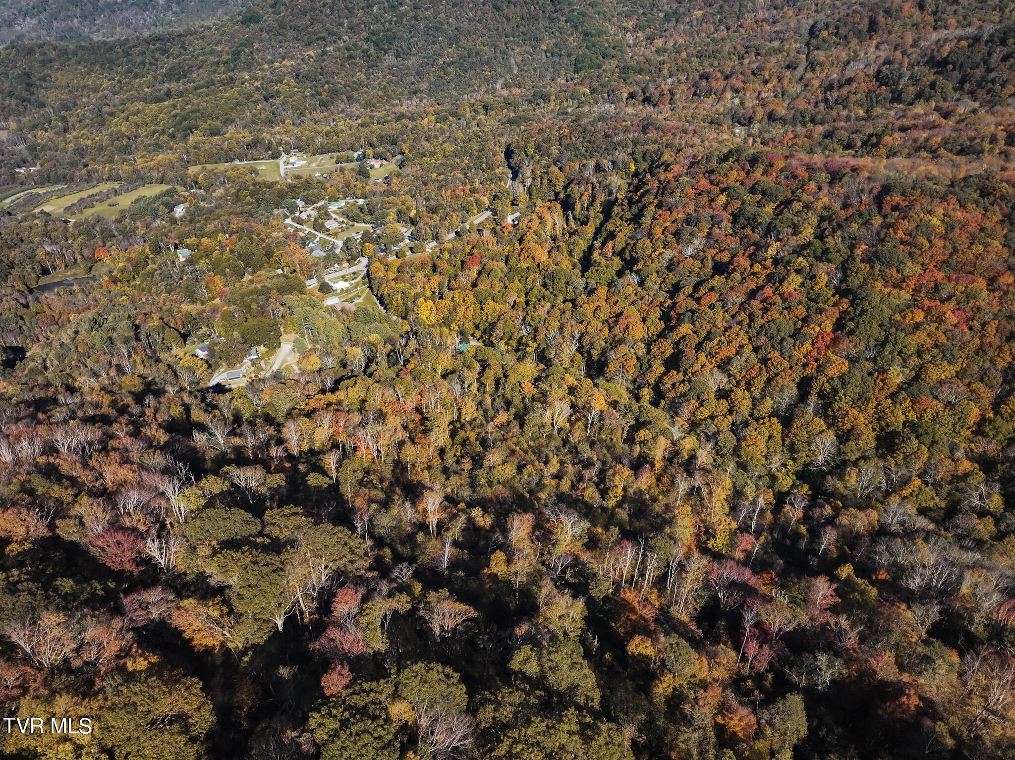 Tbd Calusa Spur, Roan Mountain, Tennessee image 9