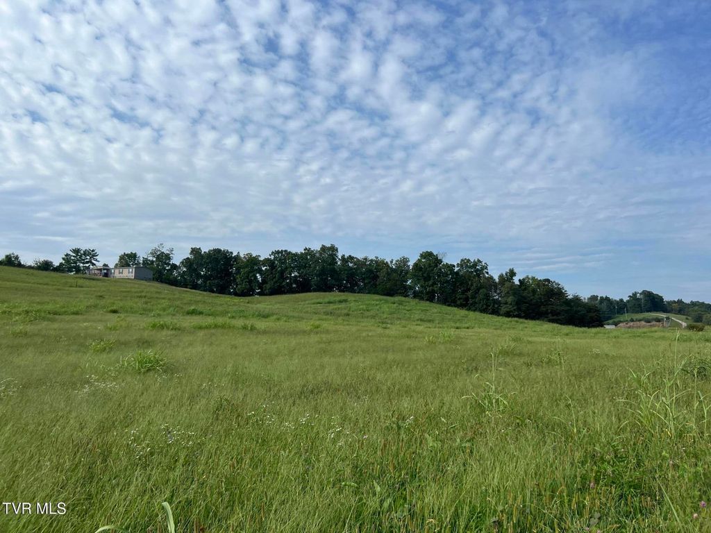 Photo of 00 Andrew Johnson Highway, Greeneville, TN 37743 (MLS # 9975373)