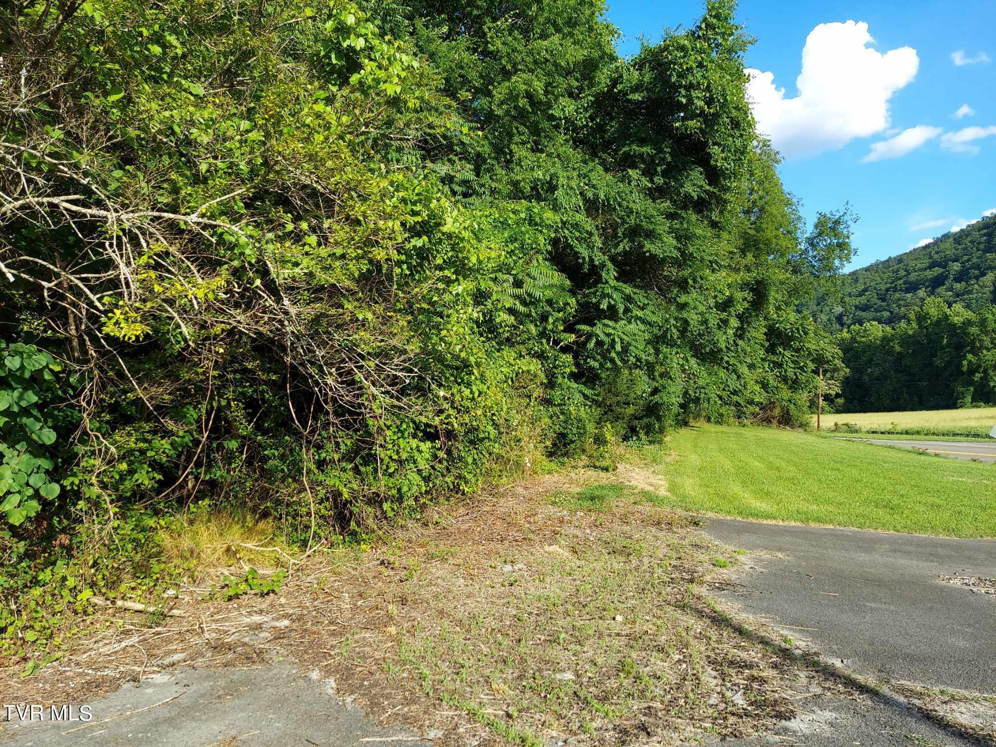 1924 Highway 25-70, Del Rio, Tennessee image 31