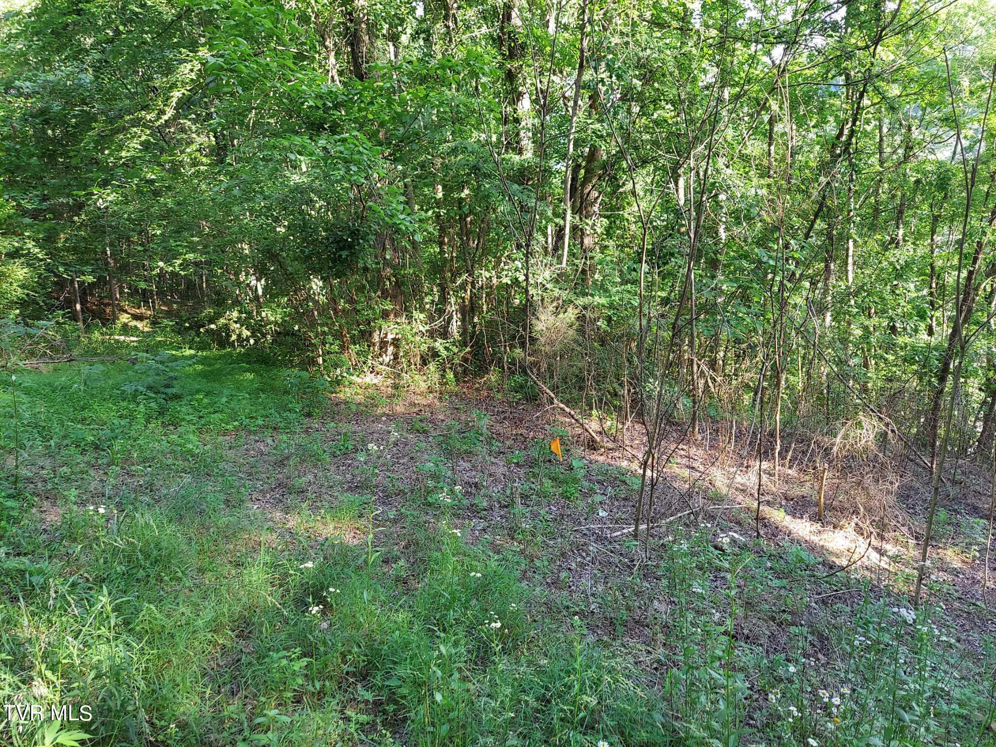 1924 Highway 25-70, Del Rio, Tennessee image 34