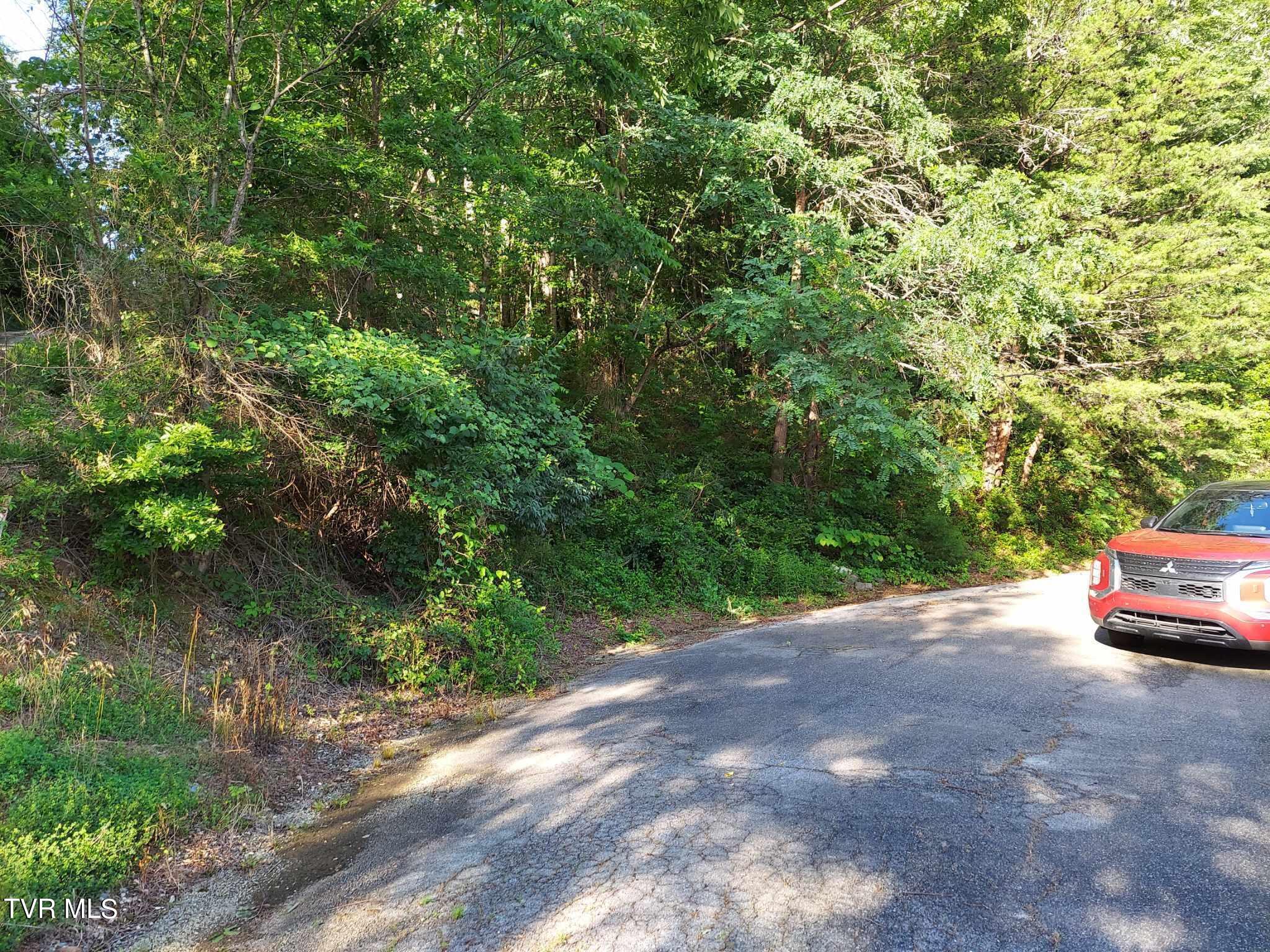 1924 Highway 25-70, Del Rio, Tennessee image 27