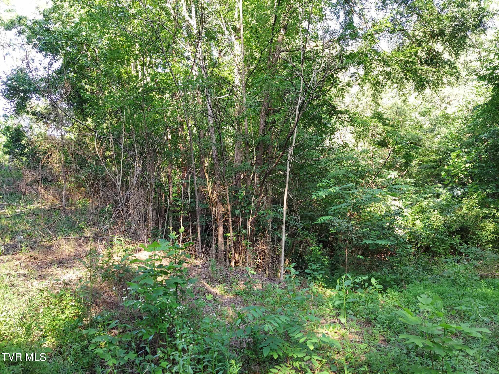 1924 Highway 25-70, Del Rio, Tennessee image 43