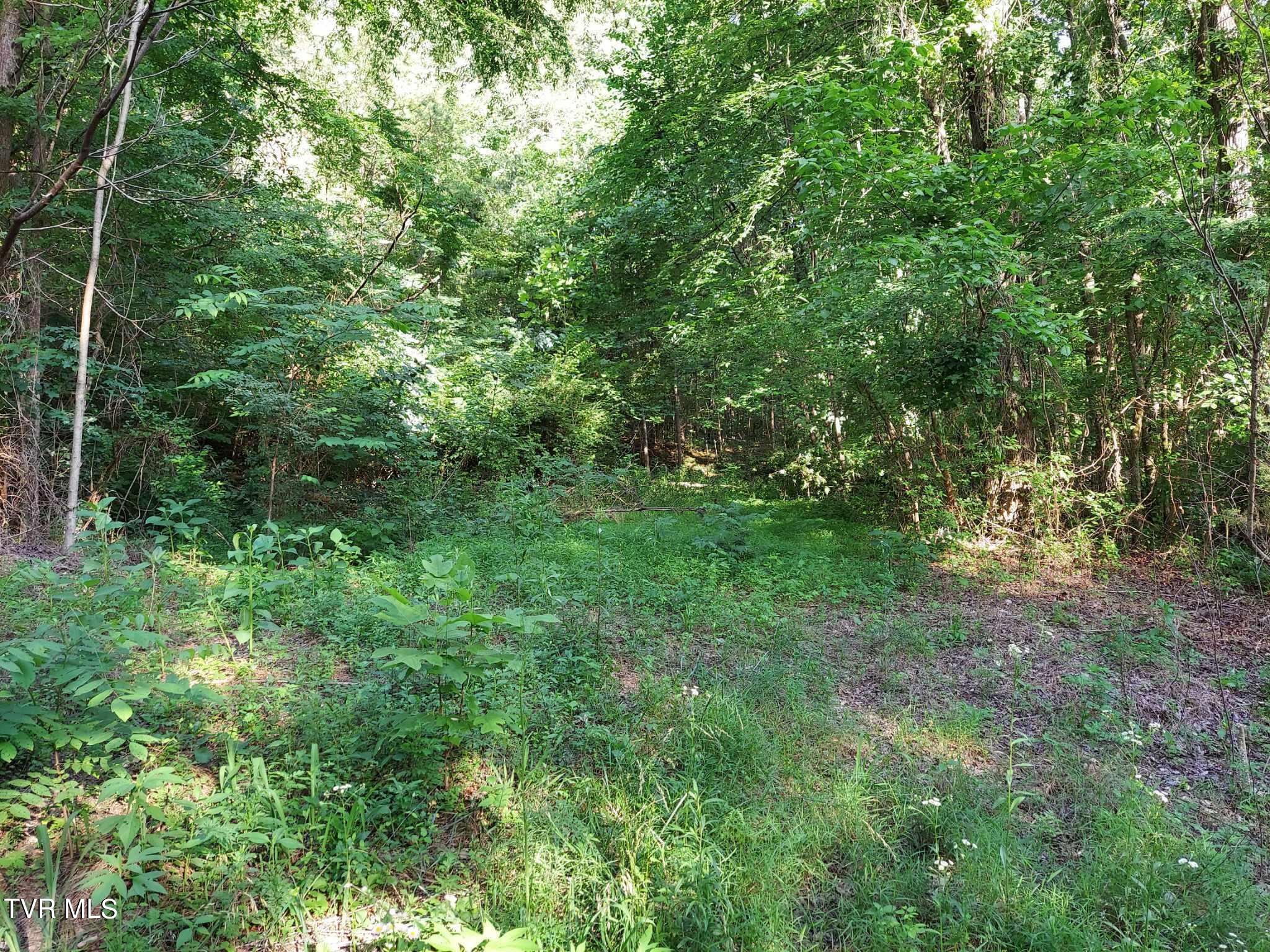 1924 Highway 25-70, Del Rio, Tennessee image 37