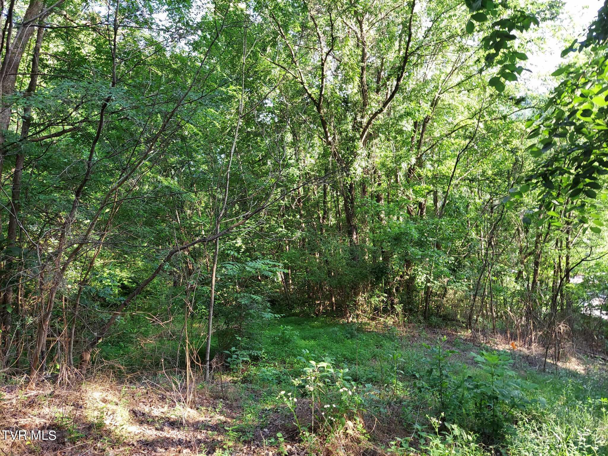 1924 Highway 25-70, Del Rio, Tennessee image 36