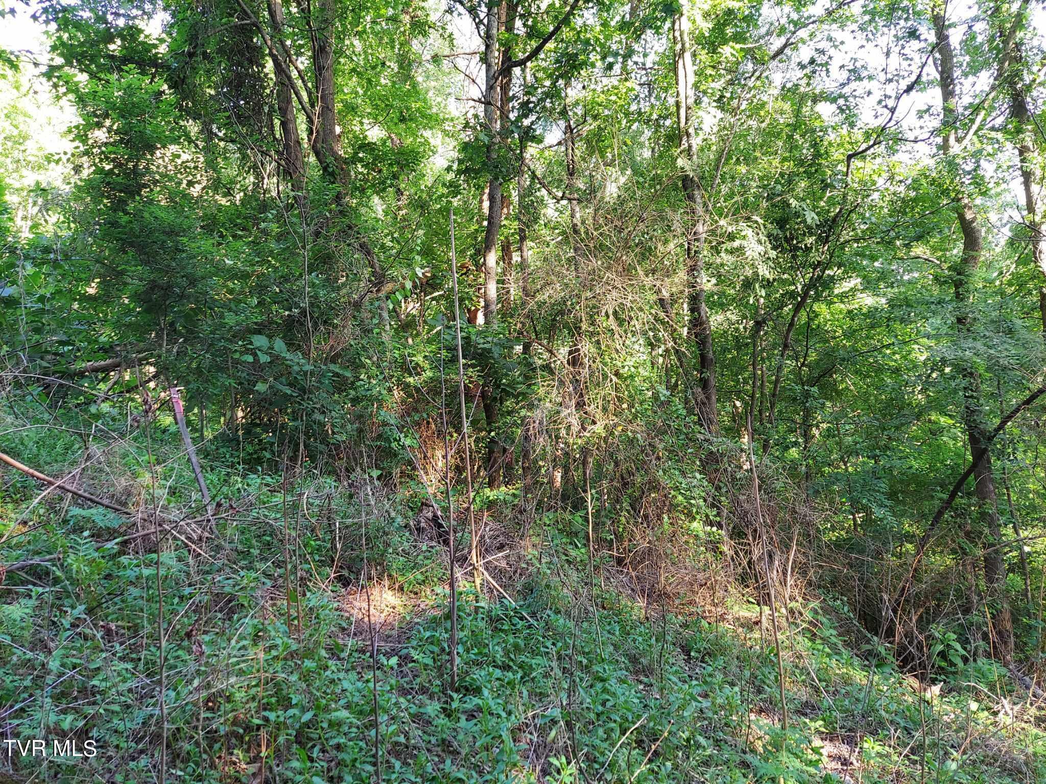 1924 Highway 25-70, Del Rio, Tennessee image 45