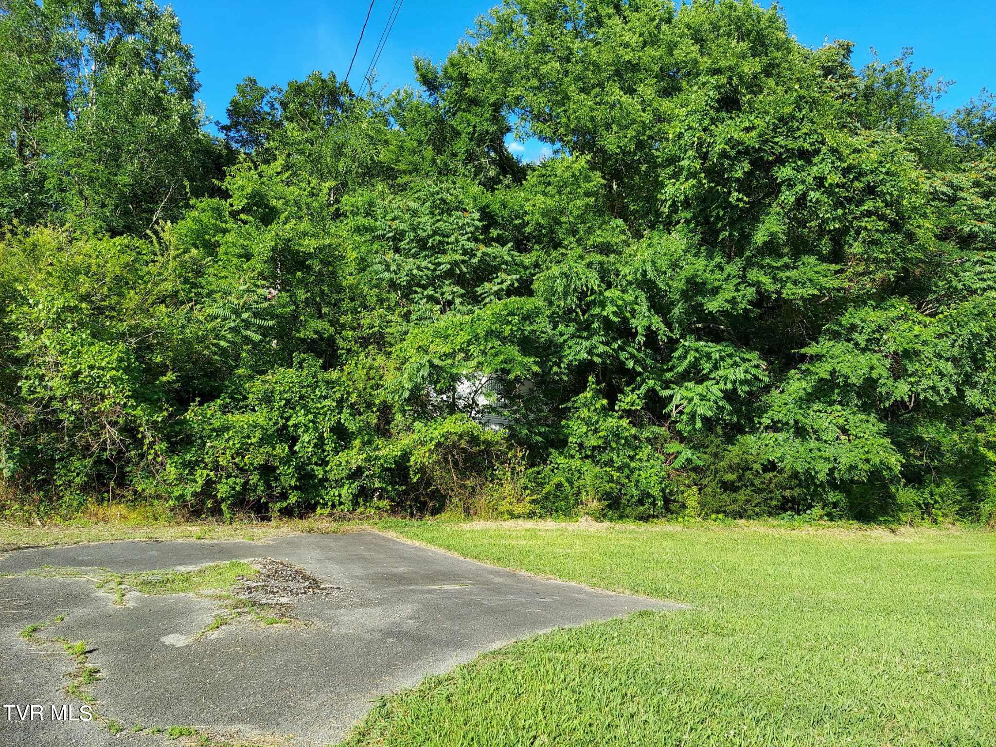 1924 Highway 25-70, Del Rio, Tennessee image 29