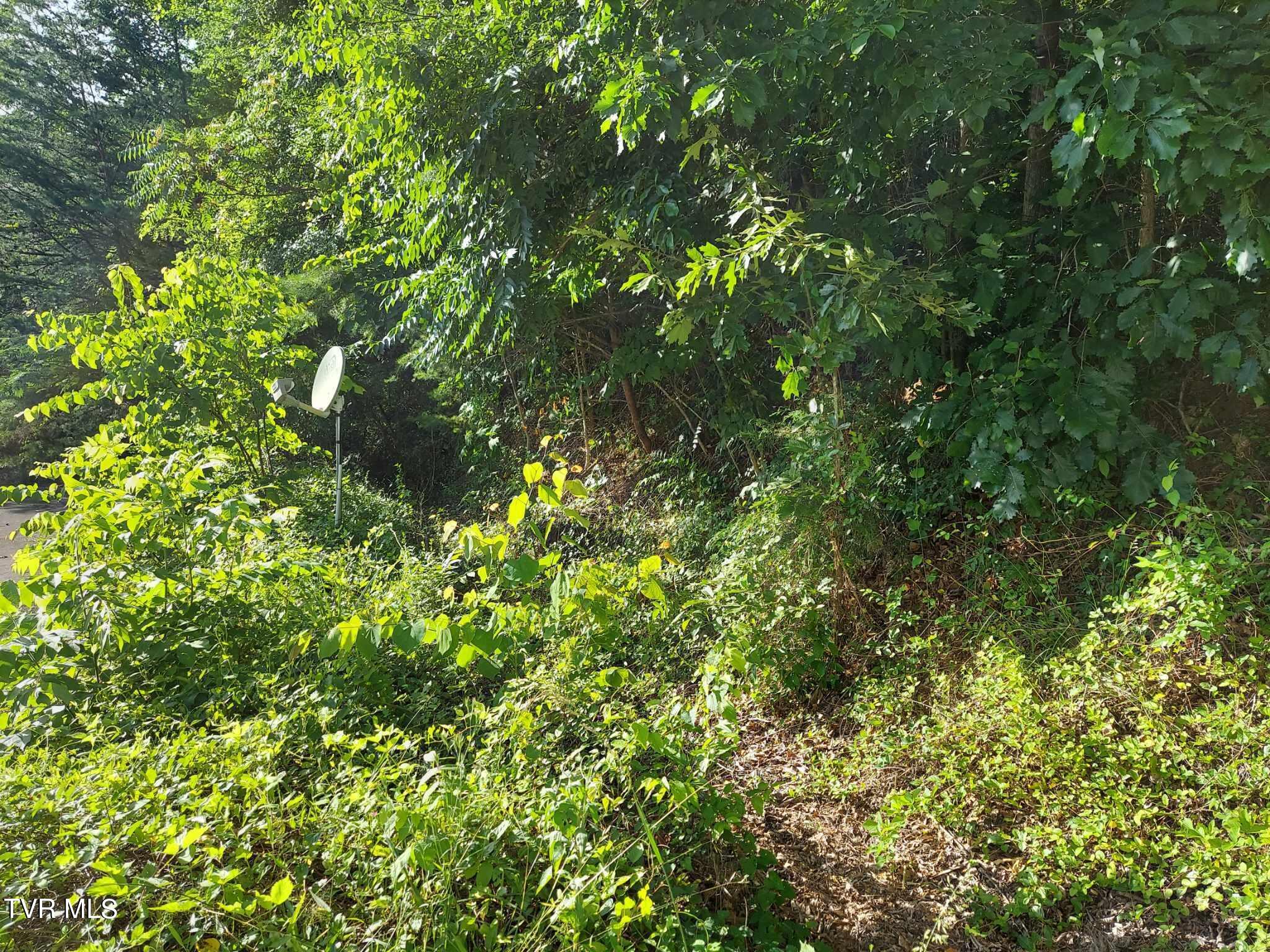 1924 Highway 25-70, Del Rio, Tennessee image 39