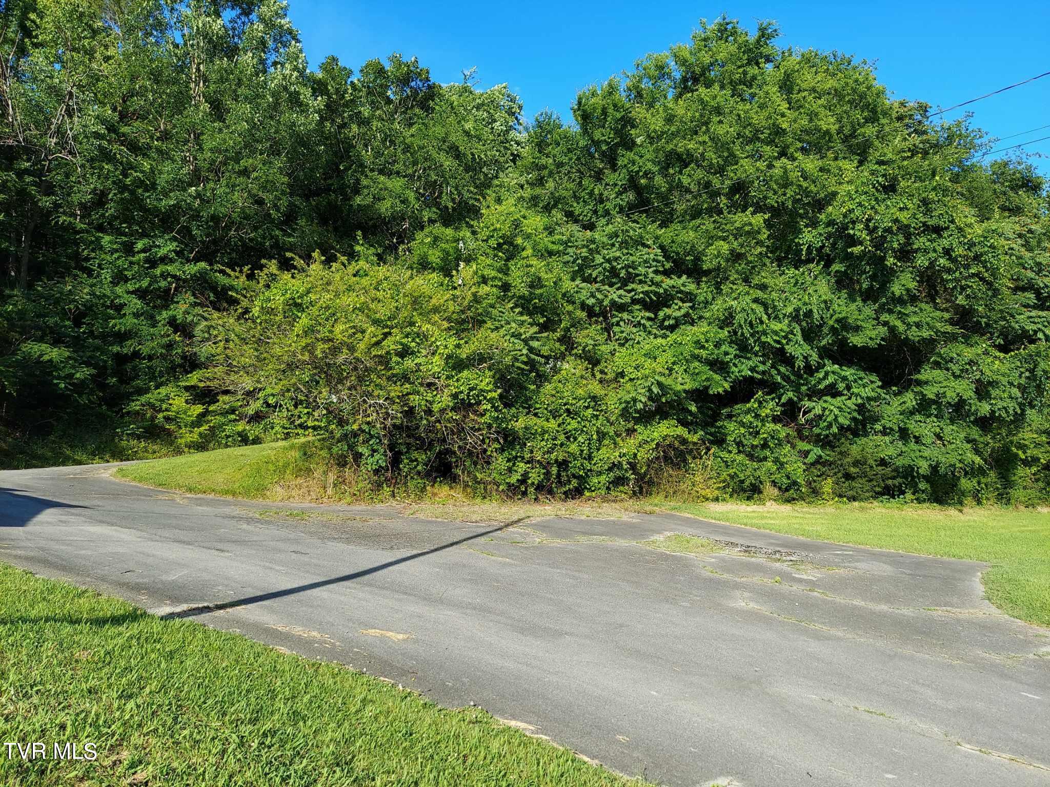 1924 Highway 25-70, Del Rio, Tennessee image 28