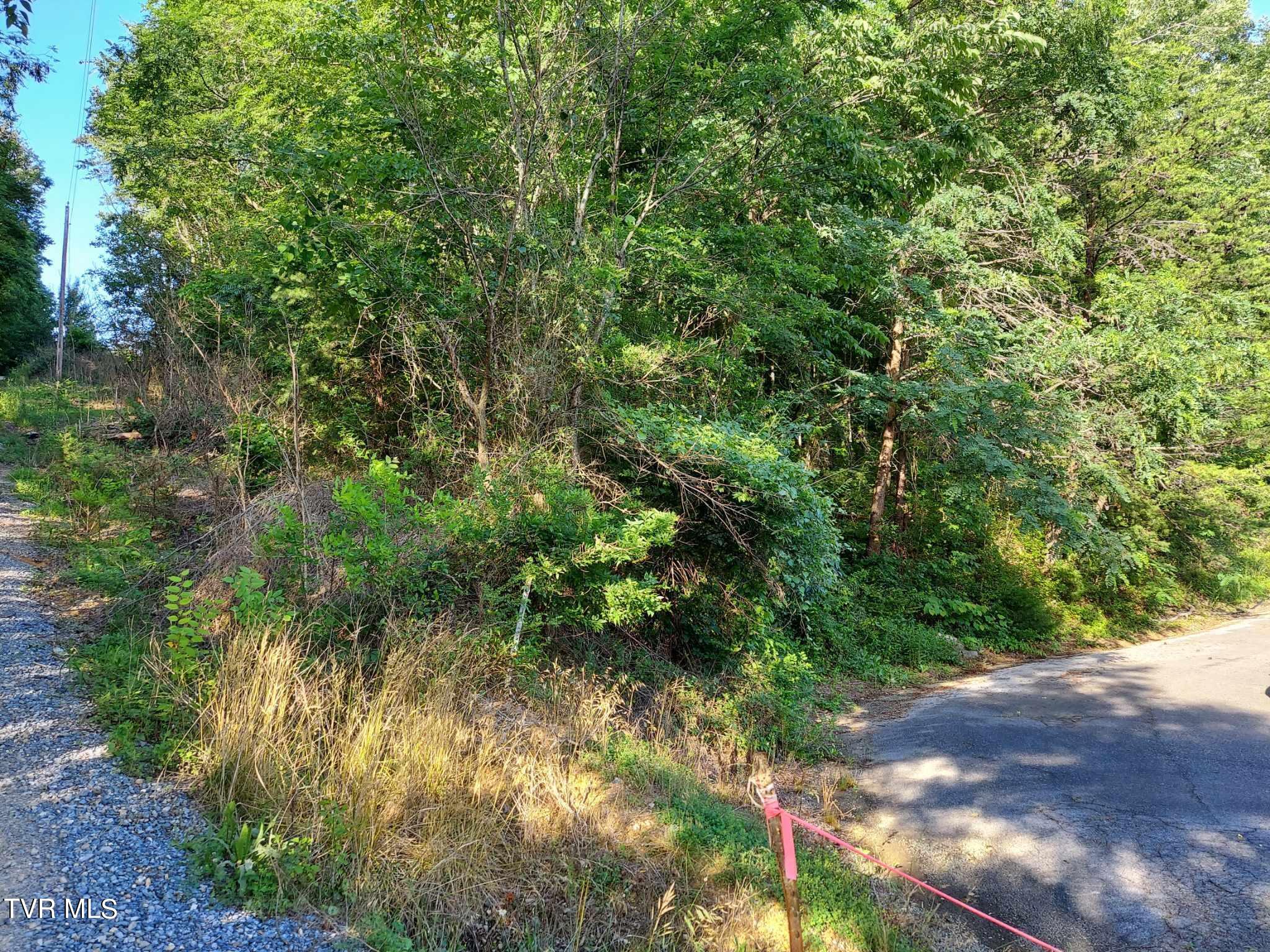1924 Highway 25-70, Del Rio, Tennessee image 32