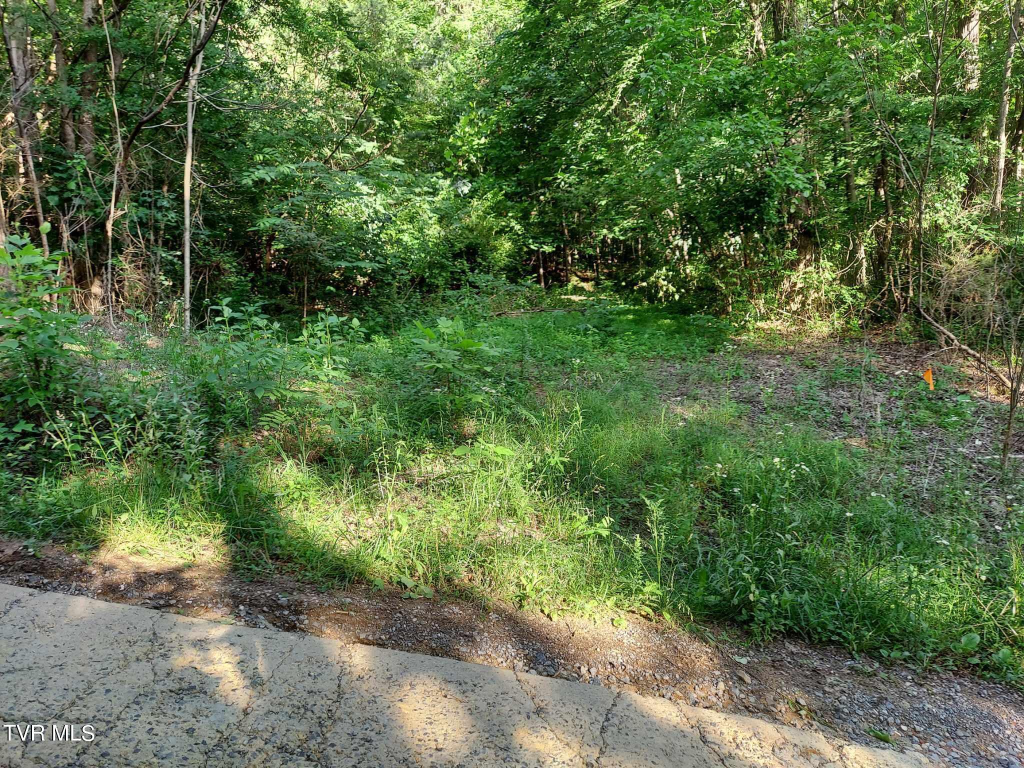 1924 Highway 25-70, Del Rio, Tennessee image 33