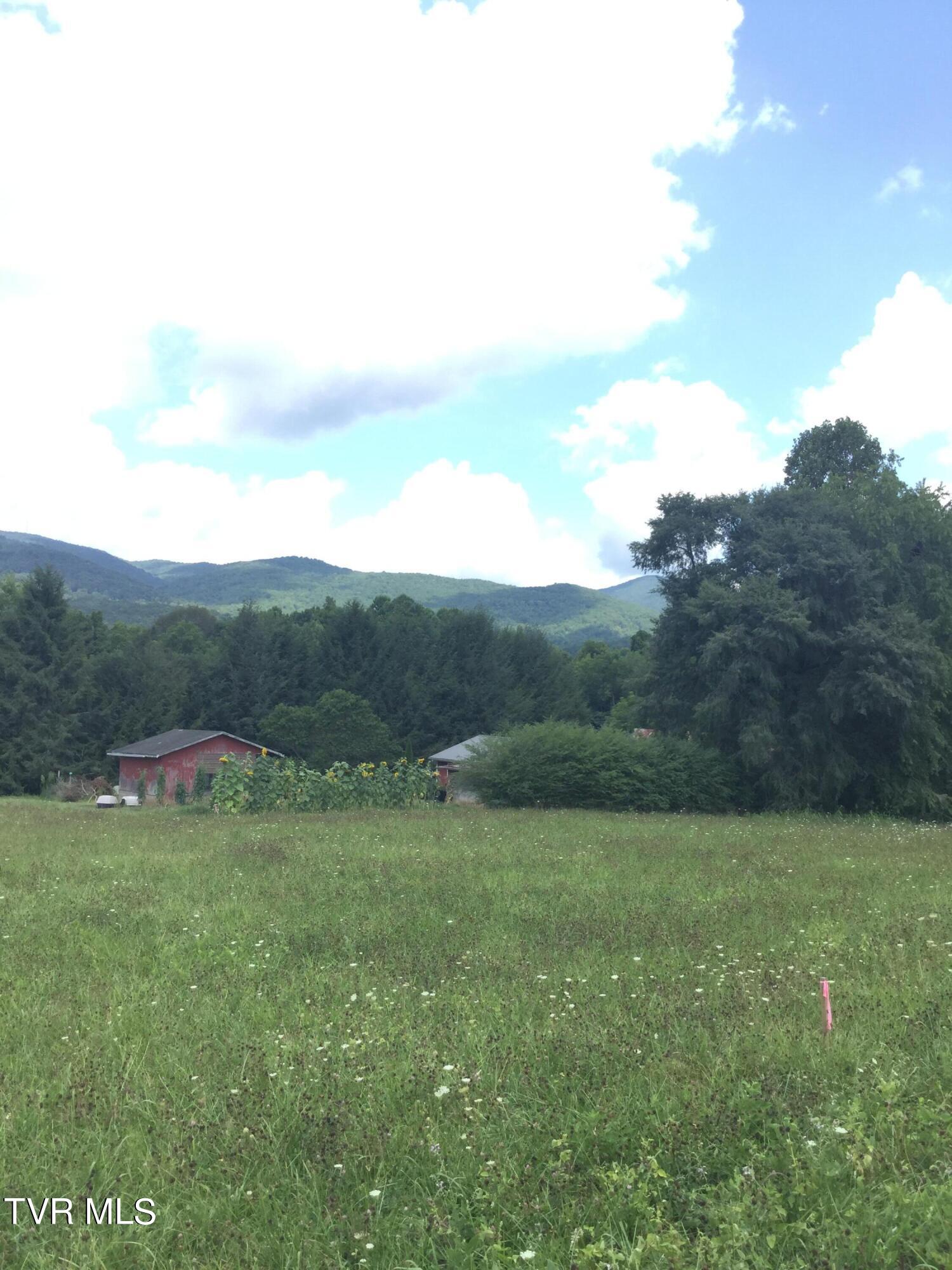163 Murphy Lane, Elizabethton, Tennessee image 2