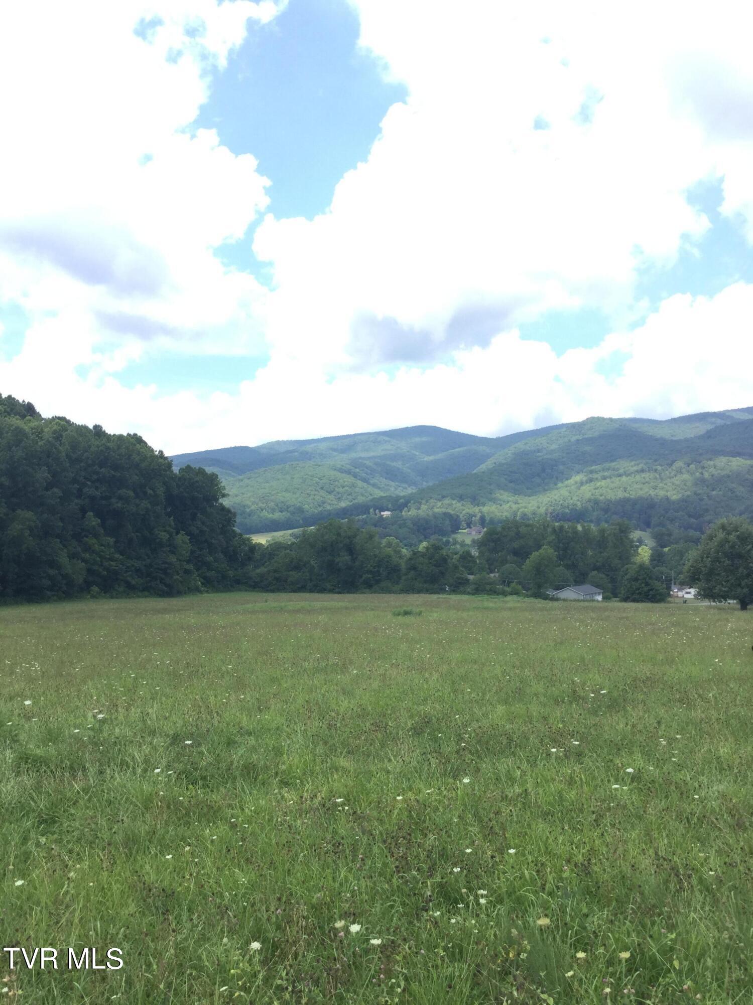 163 Murphy Lane, Elizabethton, Tennessee image 5