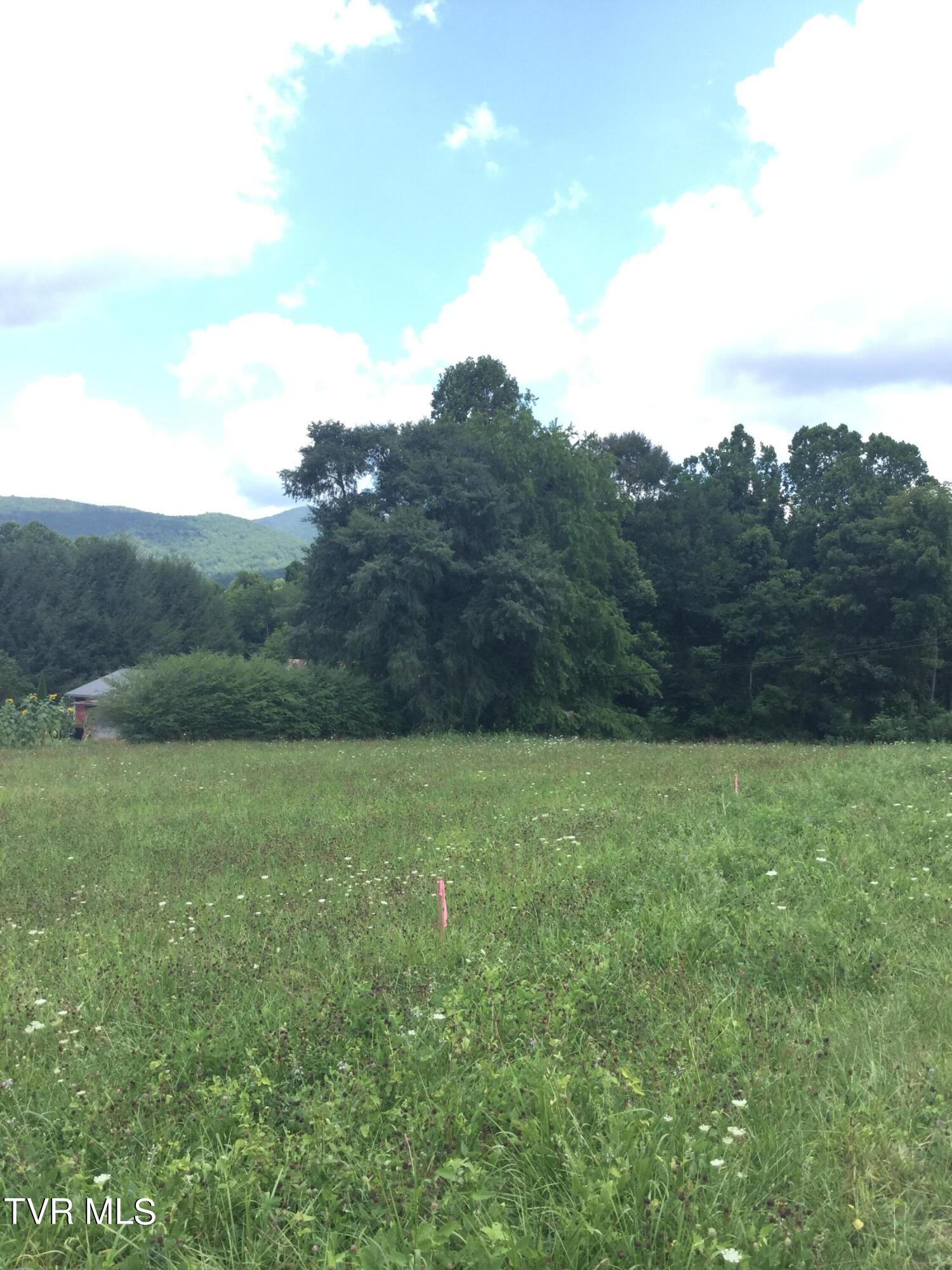 163 Murphy Lane, Elizabethton, Tennessee image 3