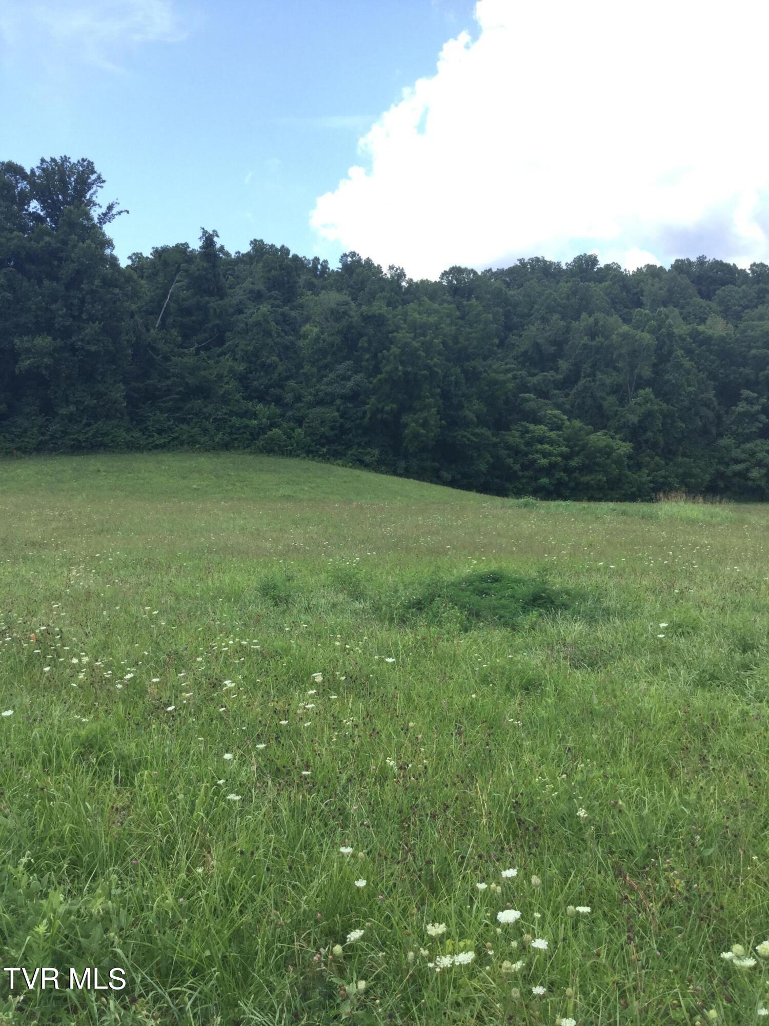 163 Murphy Lane, Elizabethton, Tennessee image 4