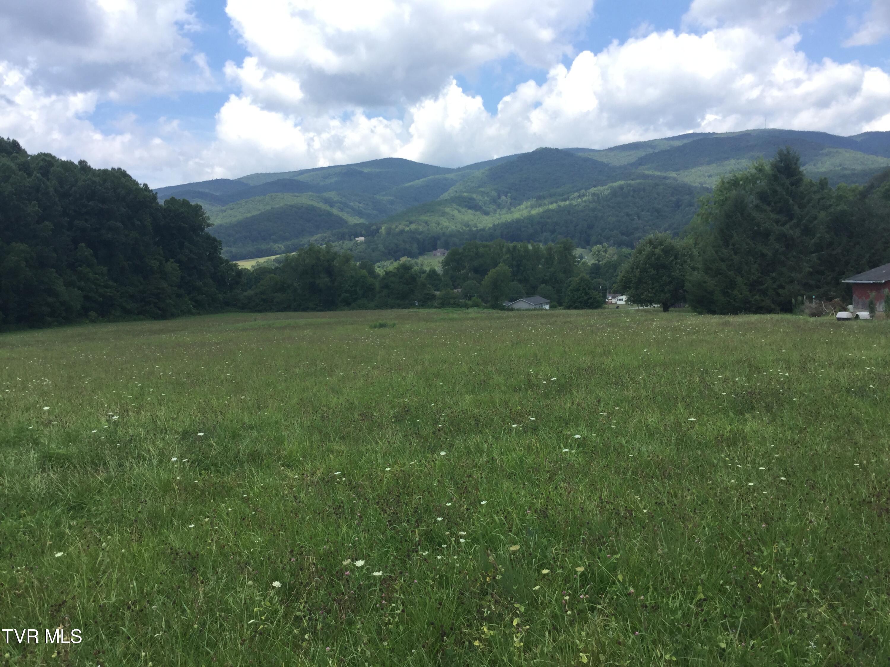 163 Murphy Lane, Elizabethton, Tennessee image 1