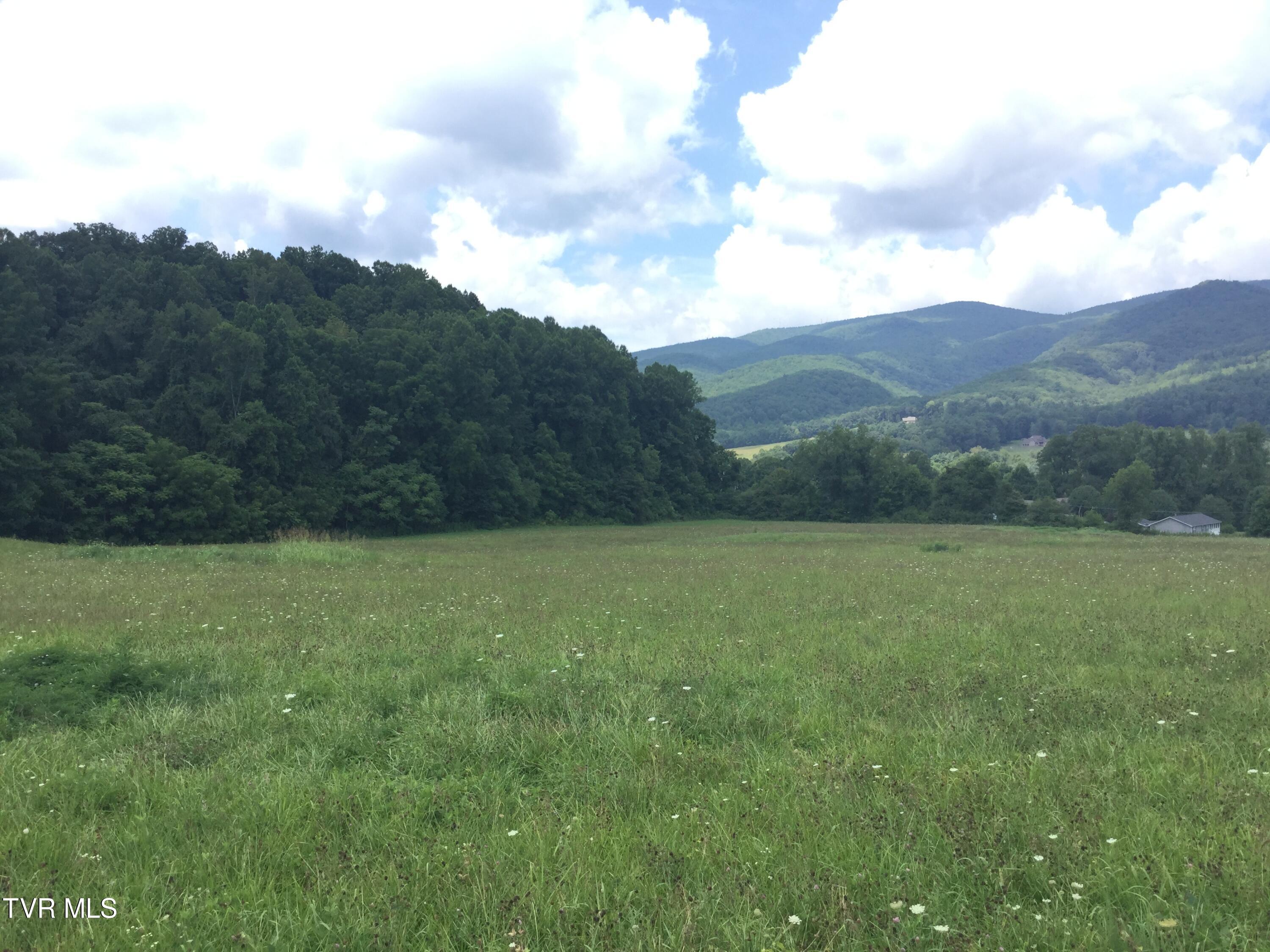 163 Murphy Lane, Elizabethton, Tennessee image 7