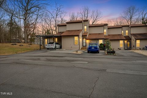 Condo For Sale - 780 Hamilton Road #E-2<br/> Blountville, TN 37617