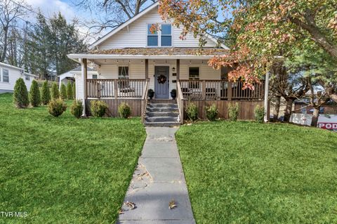 Photo of 706 Treadway Street, Johnson City, TN 37604 (MLS # 9988254)