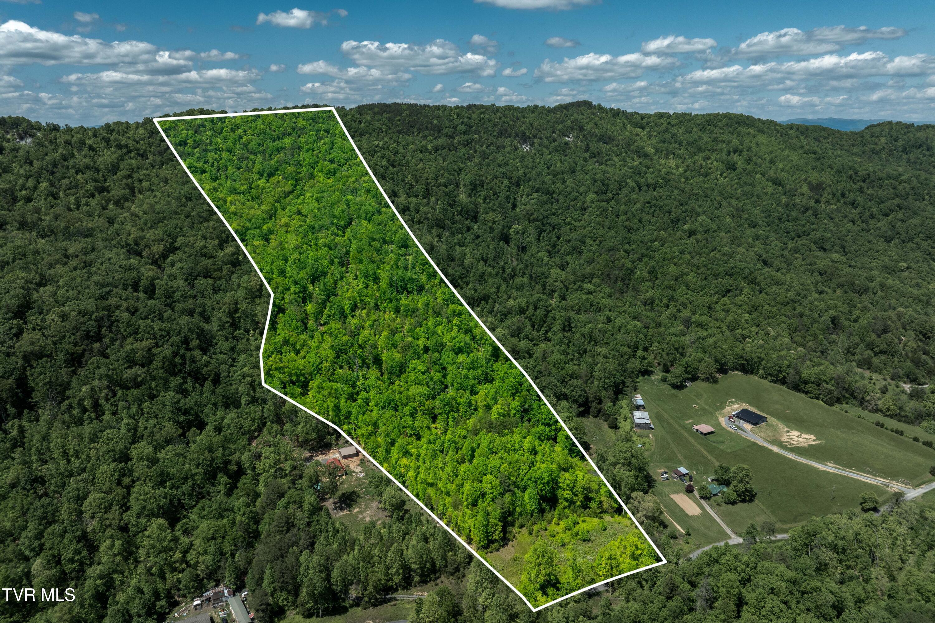 Tbd Fishers Creek Road, Rogersville, Tennessee image 1
