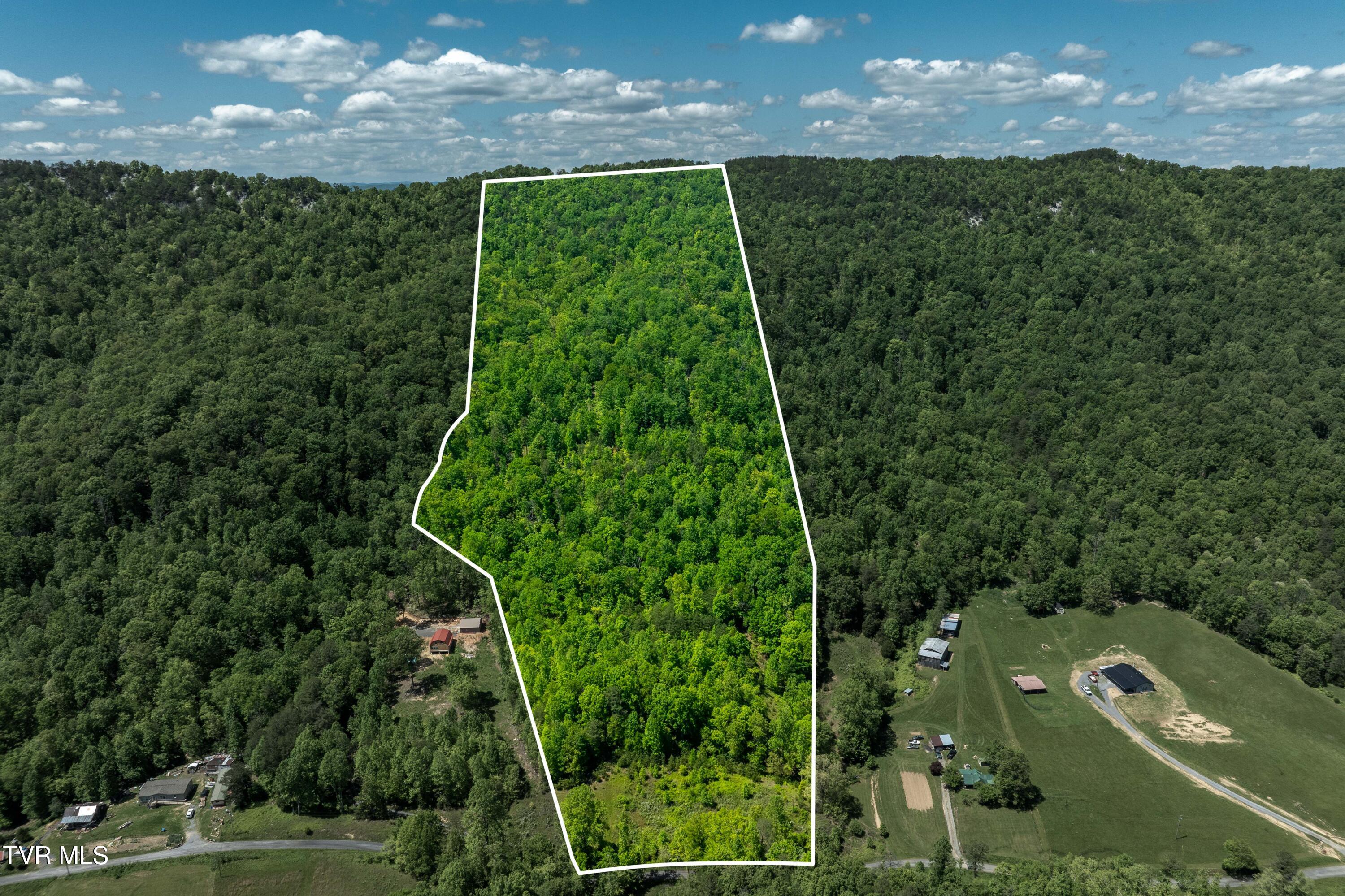 Tbd Fishers Creek Road, Rogersville, Tennessee image 2