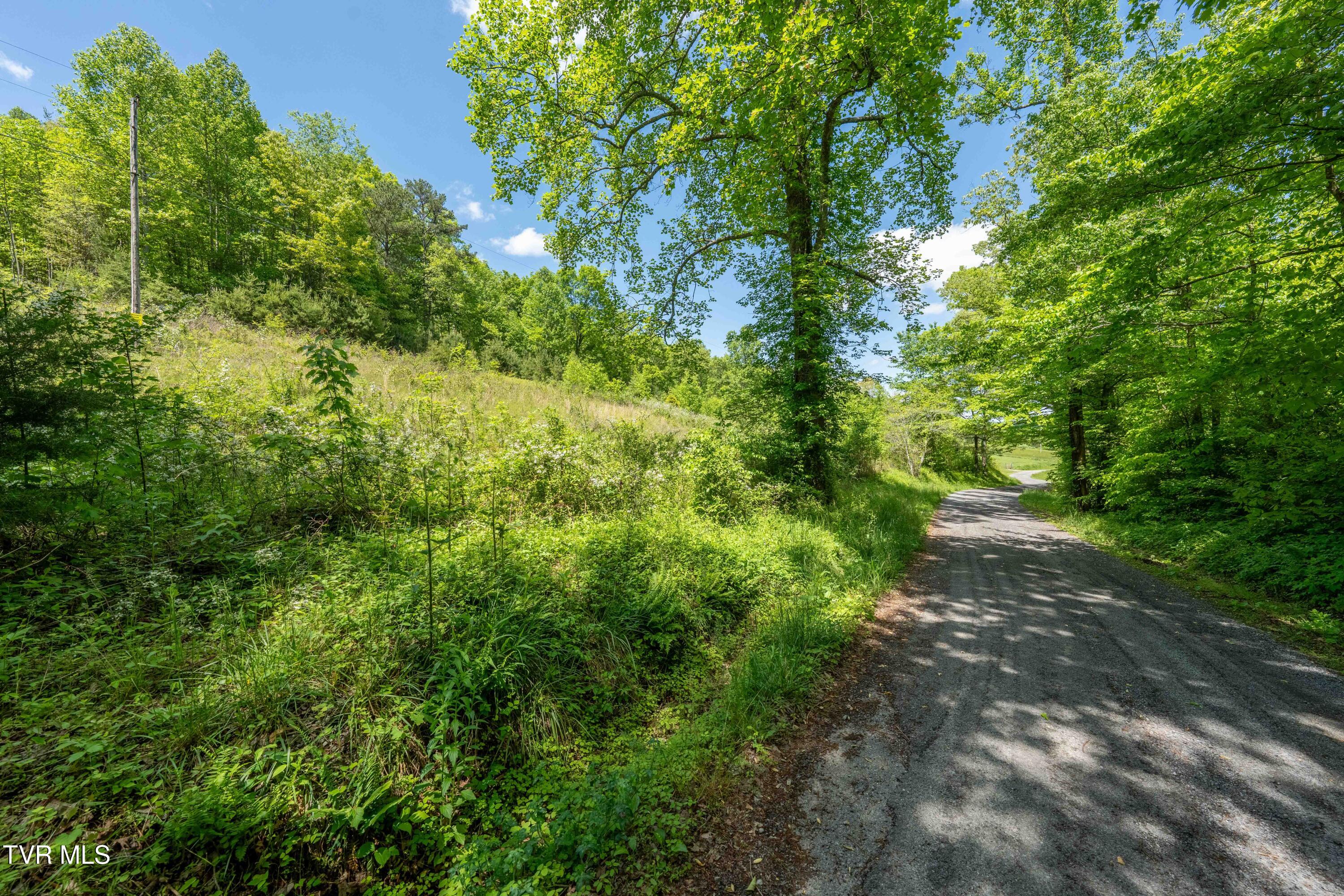 Tbd Fishers Creek Road, Rogersville, Tennessee image 10