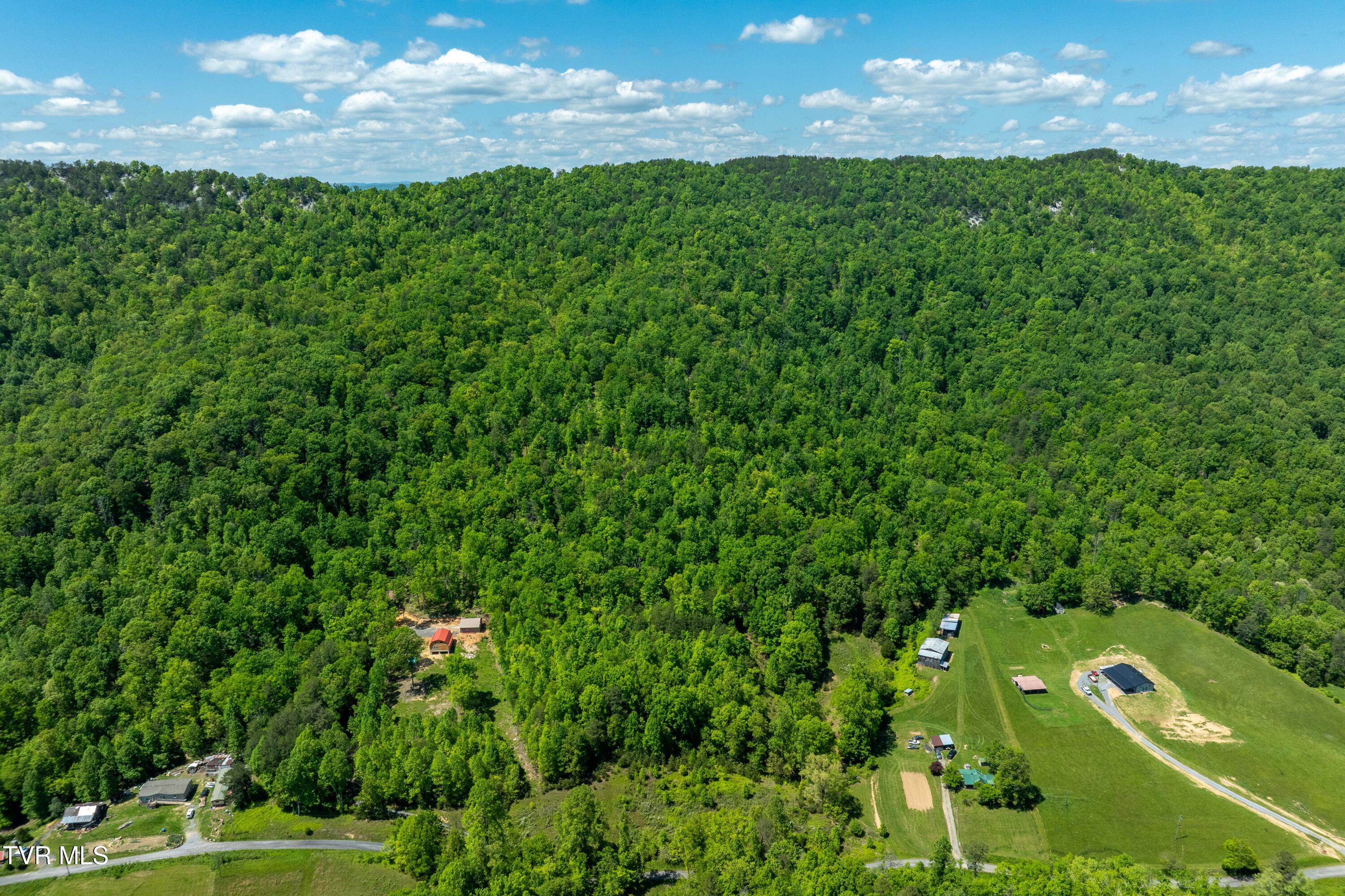 Tbd Fishers Creek Road, Rogersville, Tennessee image 15