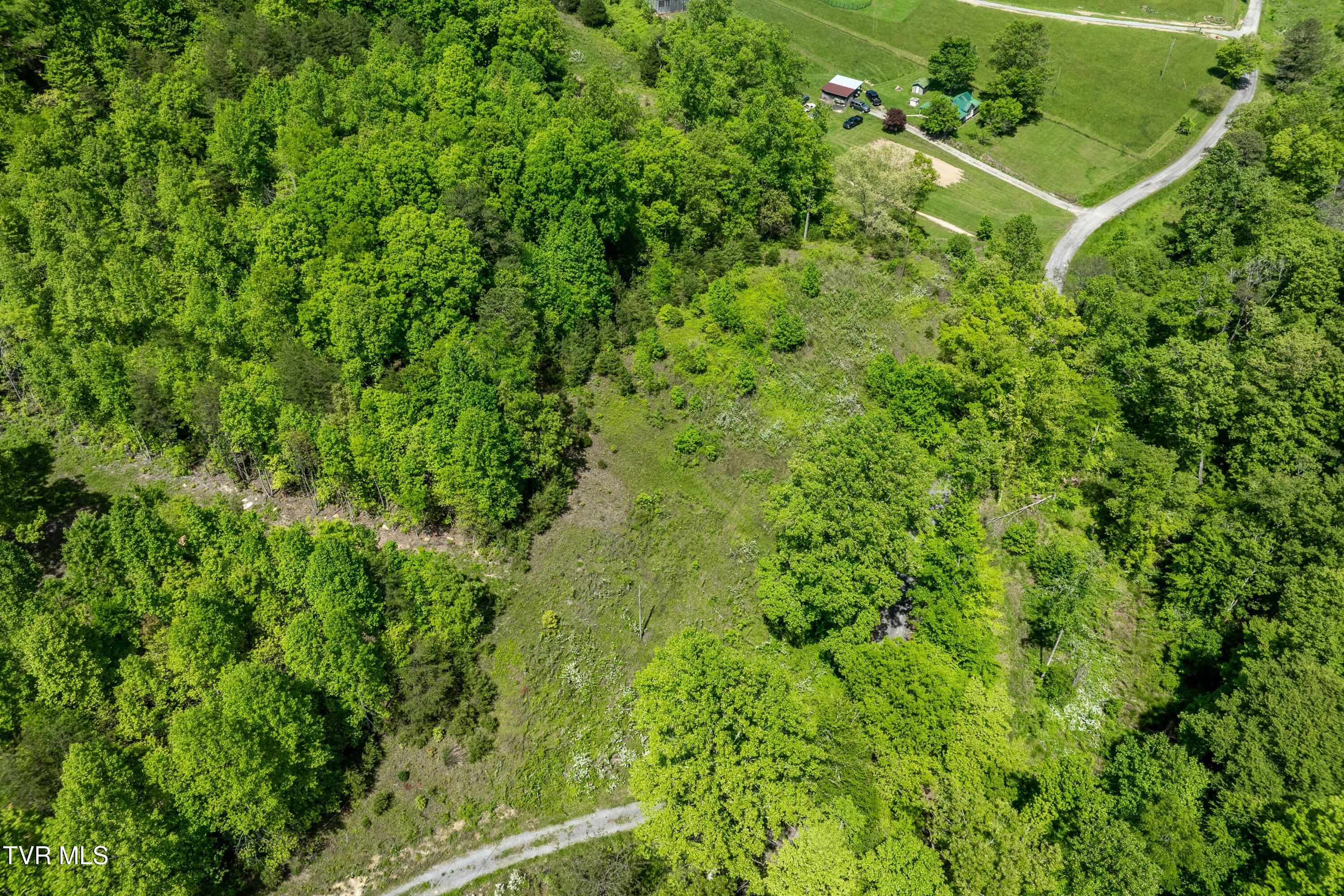 Tbd Fishers Creek Road, Rogersville, Tennessee image 26