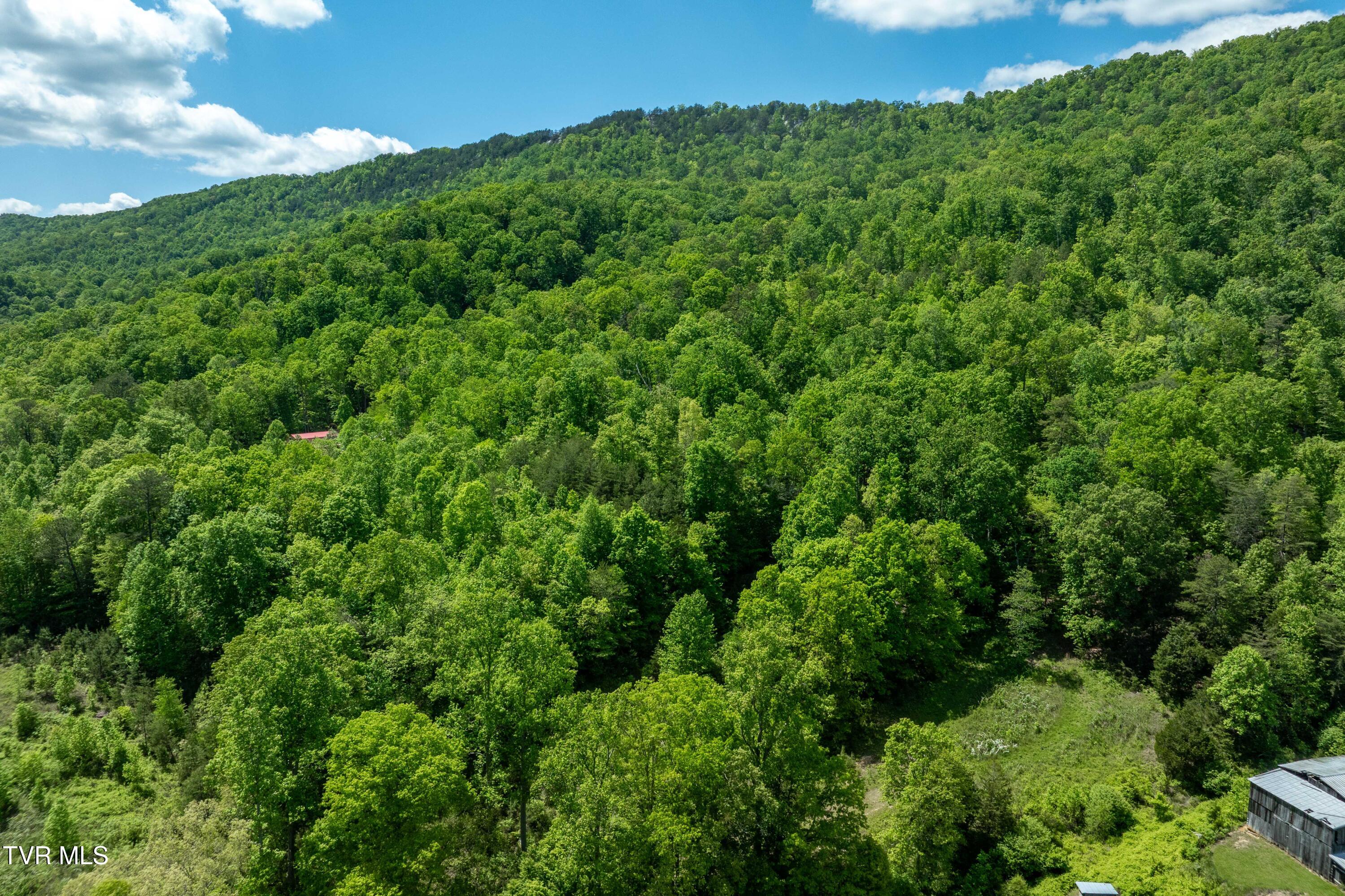 Tbd Fishers Creek Road, Rogersville, Tennessee image 29