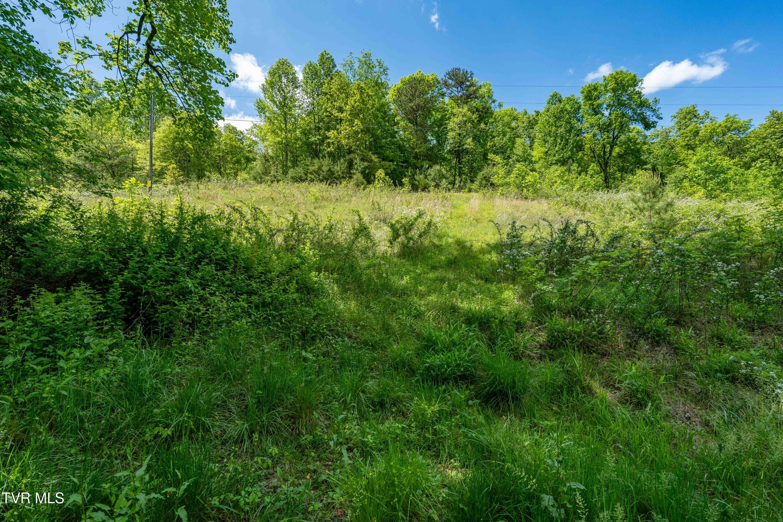 Tbd Fishers Creek Road, Rogersville, Tennessee image 12