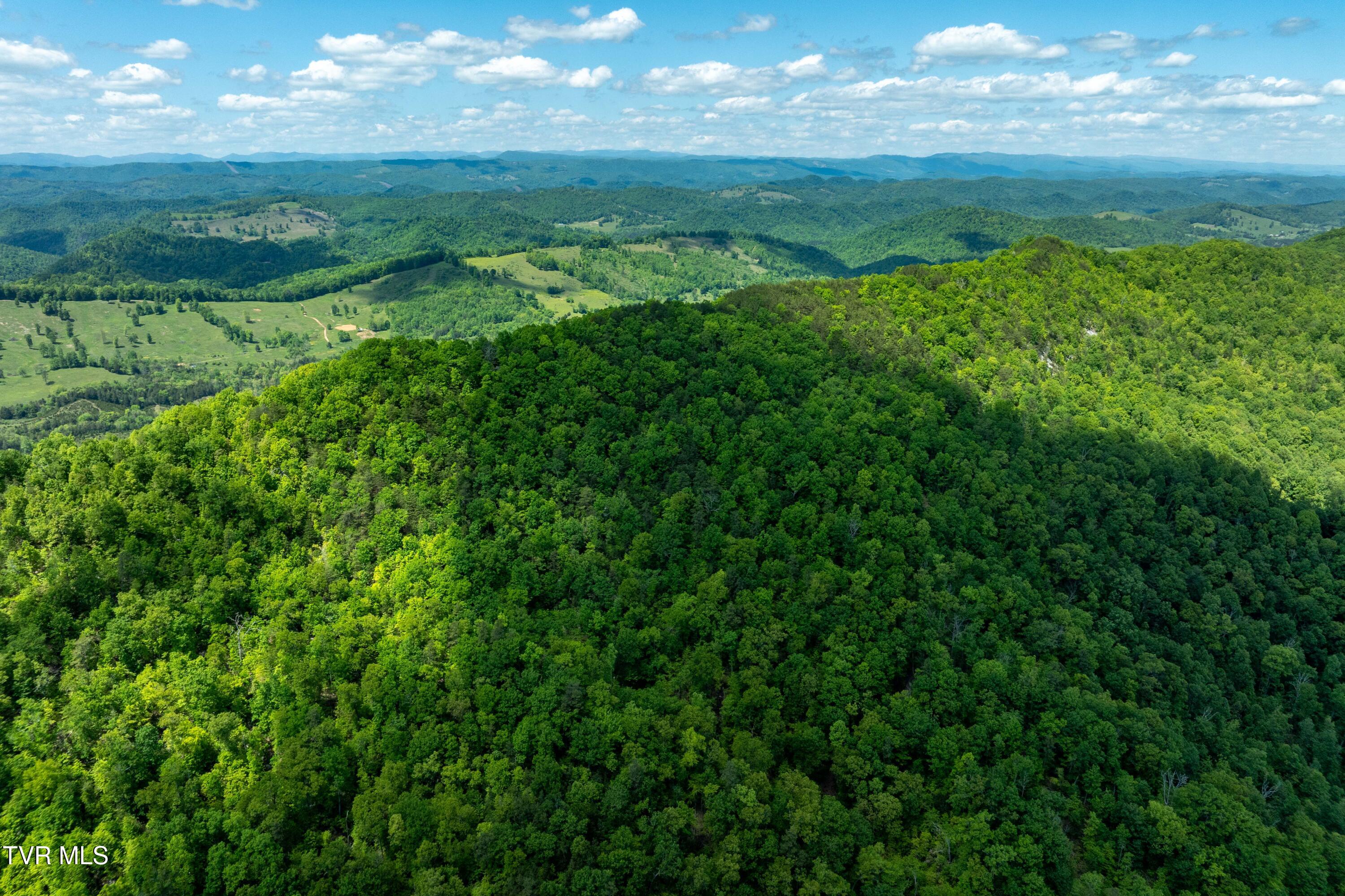Tbd Fishers Creek Road, Rogersville, Tennessee image 13