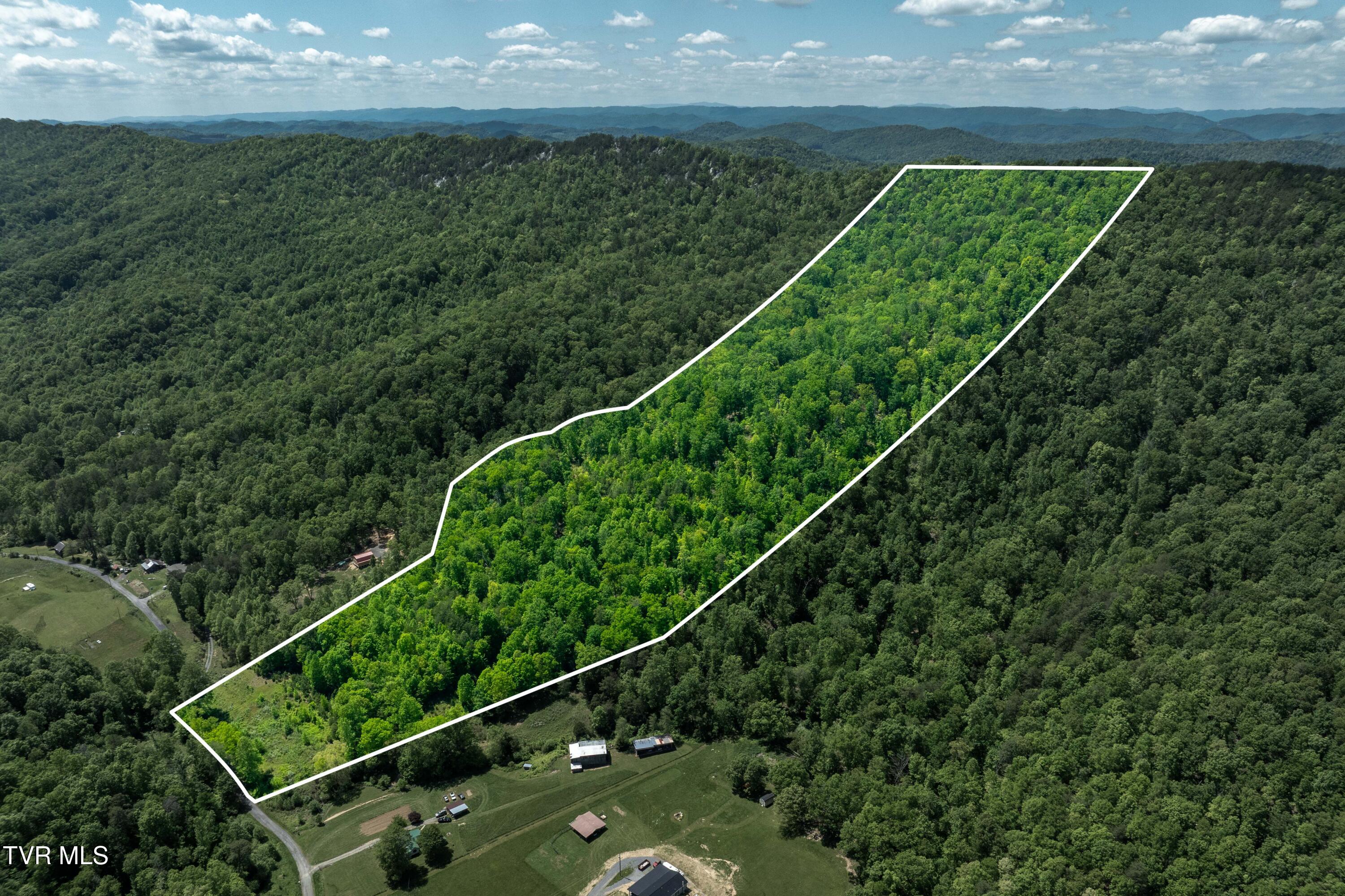 Tbd Fishers Creek Road, Rogersville, Tennessee image 3