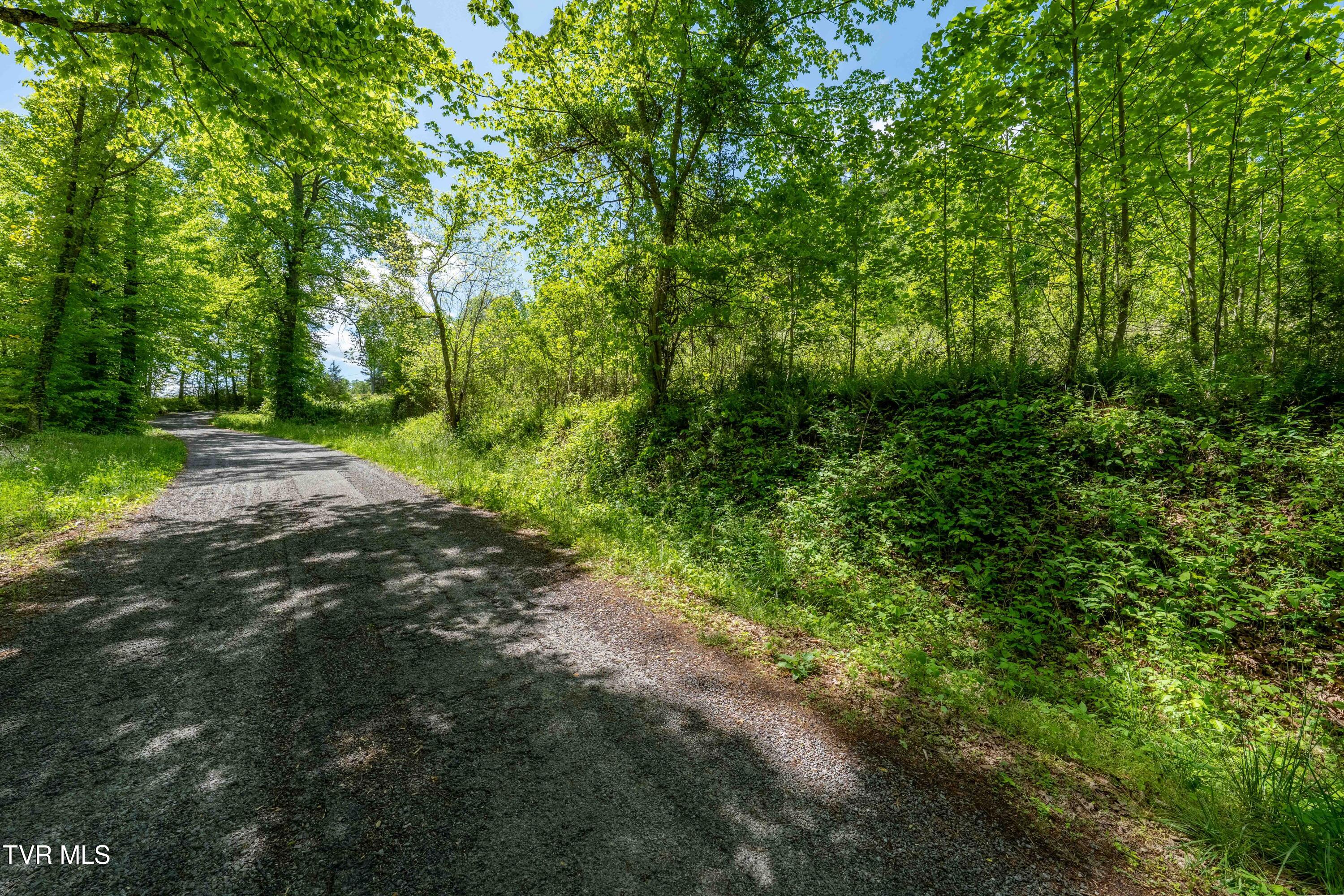 Tbd Fishers Creek Road, Rogersville, Tennessee image 32