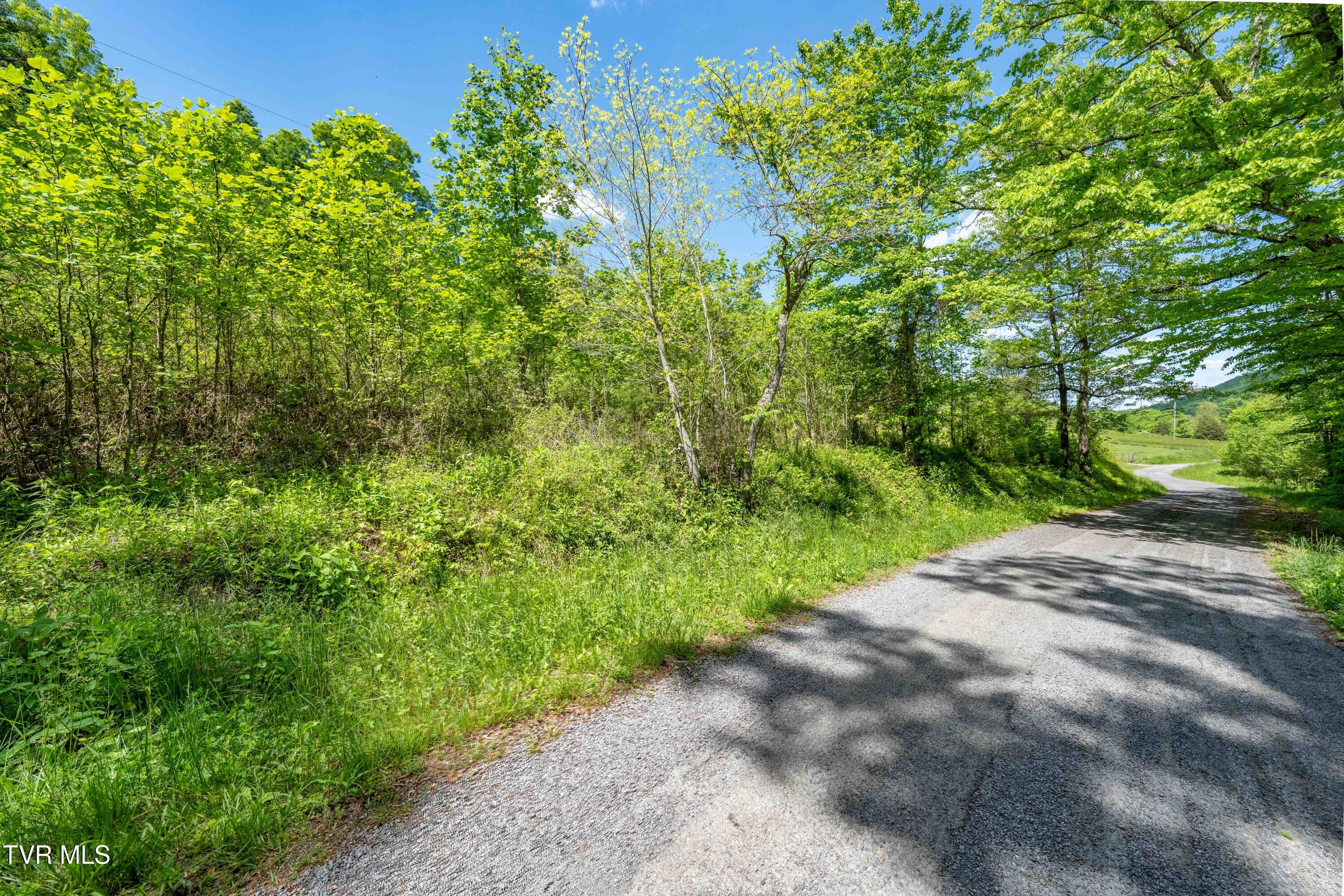 Tbd Fishers Creek Road, Rogersville, Tennessee image 31