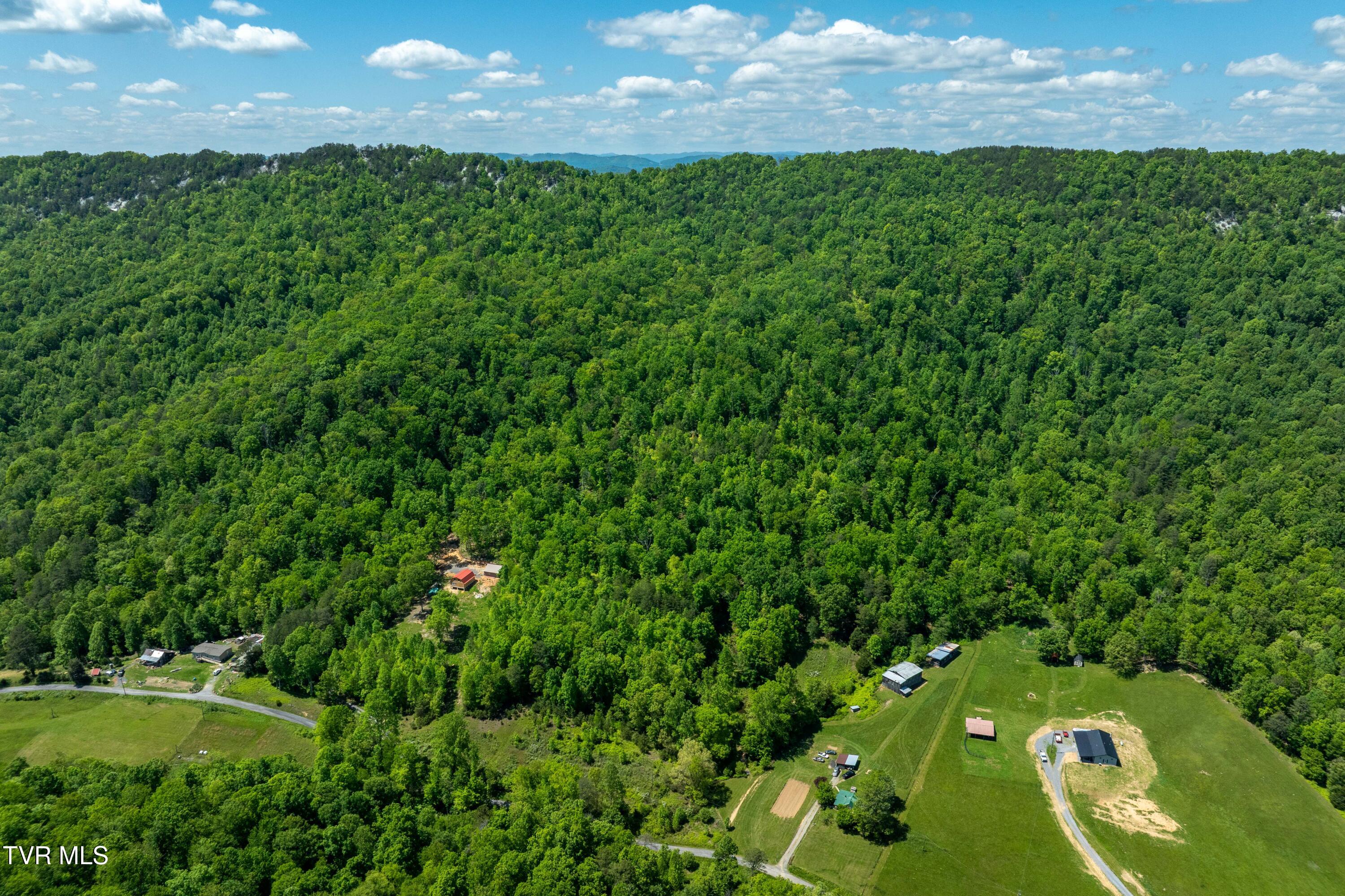 Tbd Fishers Creek Road, Rogersville, Tennessee image 17