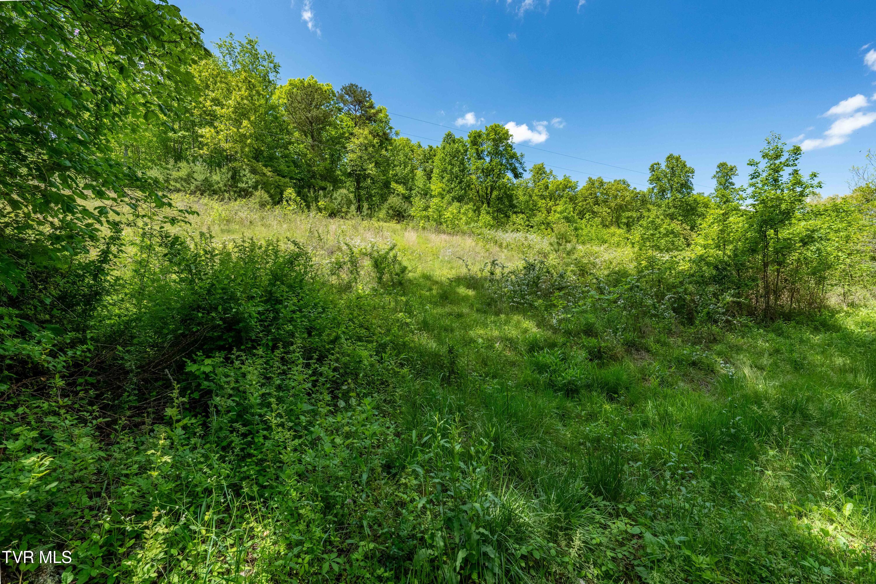 Tbd Fishers Creek Road, Rogersville, Tennessee image 11