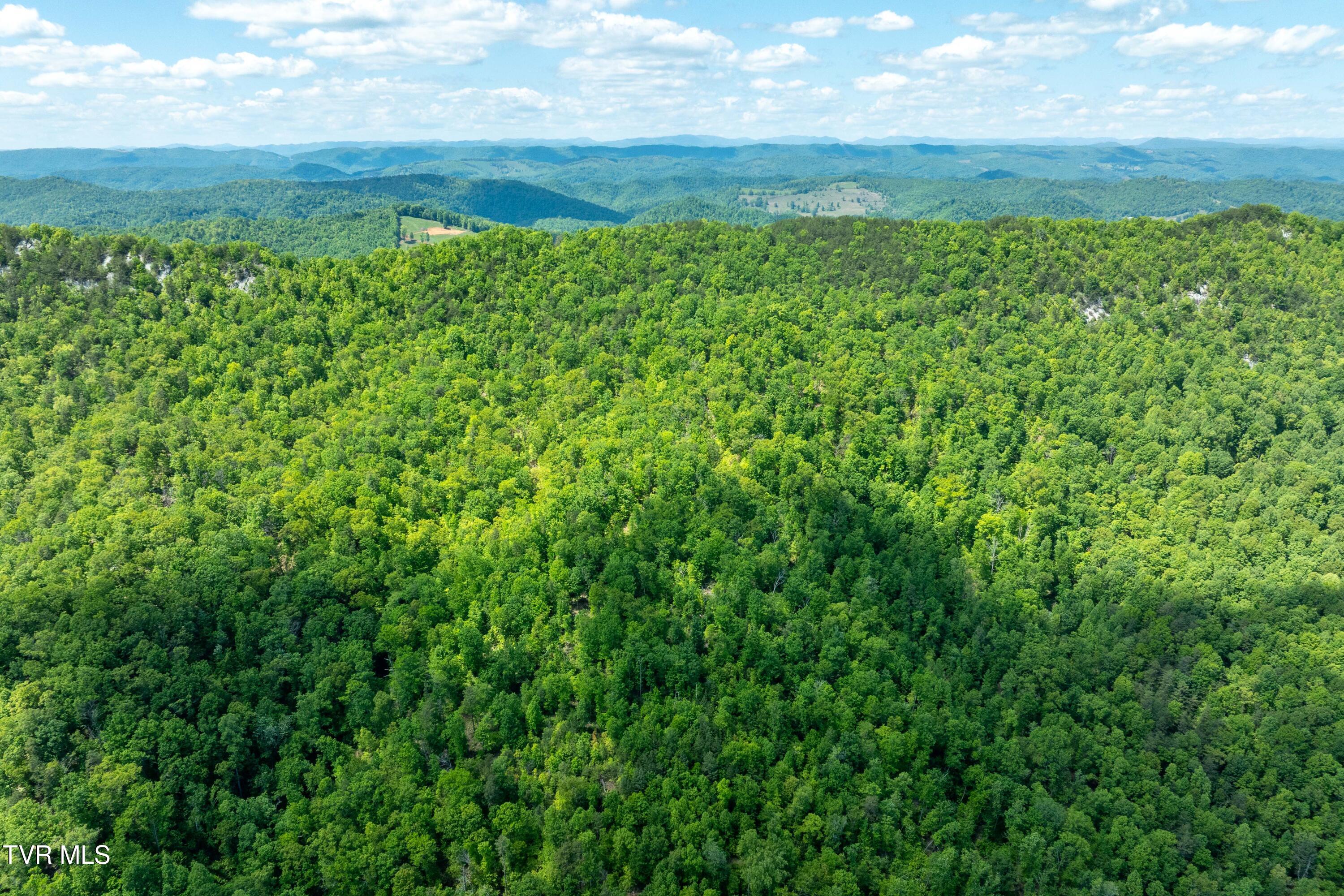 Tbd Fishers Creek Road, Rogersville, Tennessee image 23