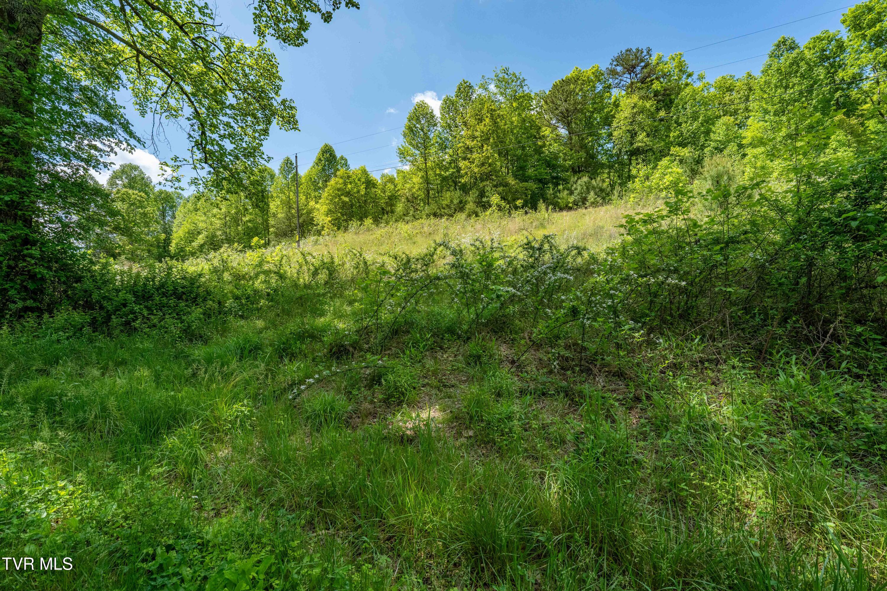 Tbd Fishers Creek Road, Rogersville, Tennessee image 30