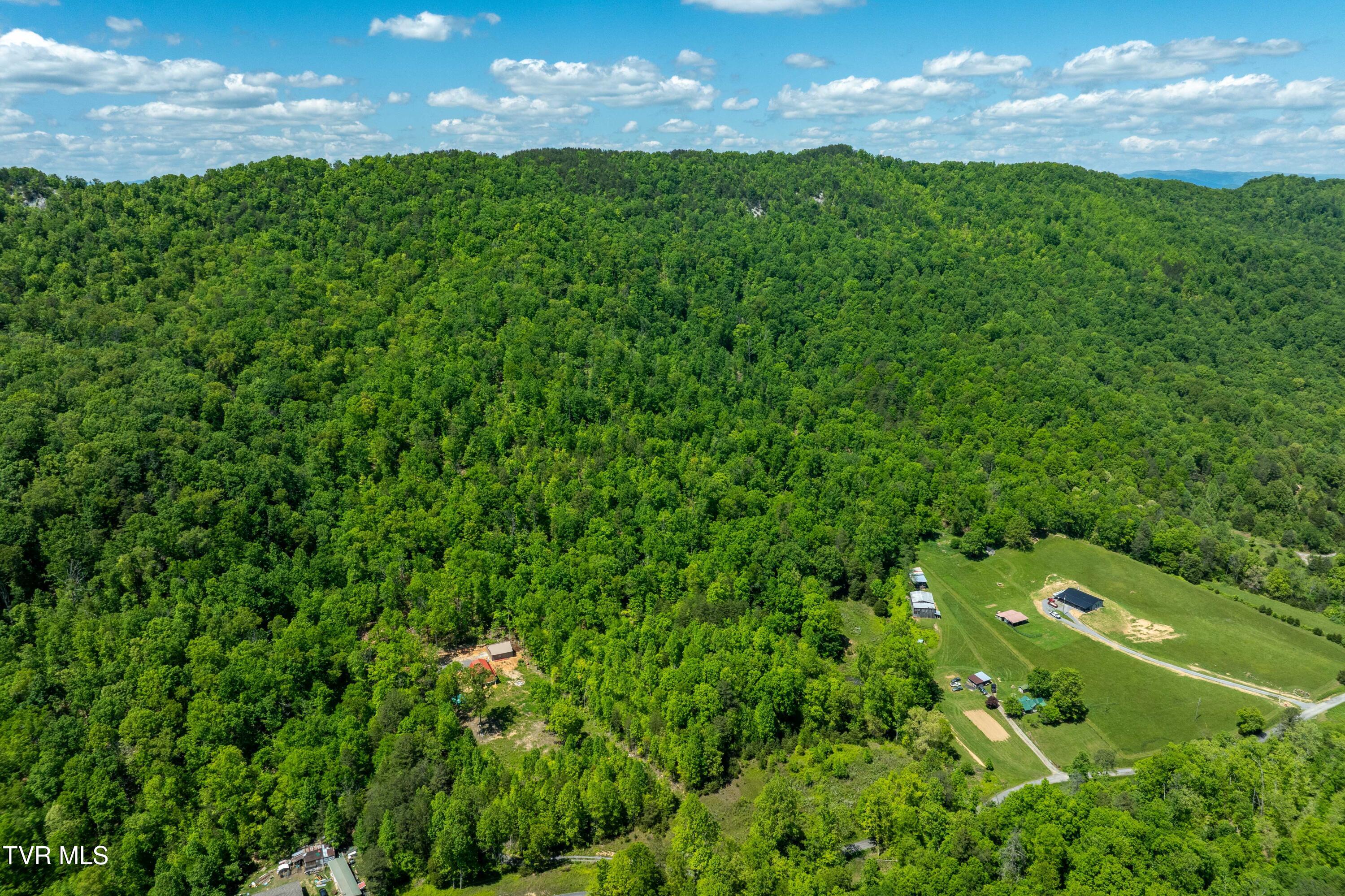 Tbd Fishers Creek Road, Rogersville, Tennessee image 14