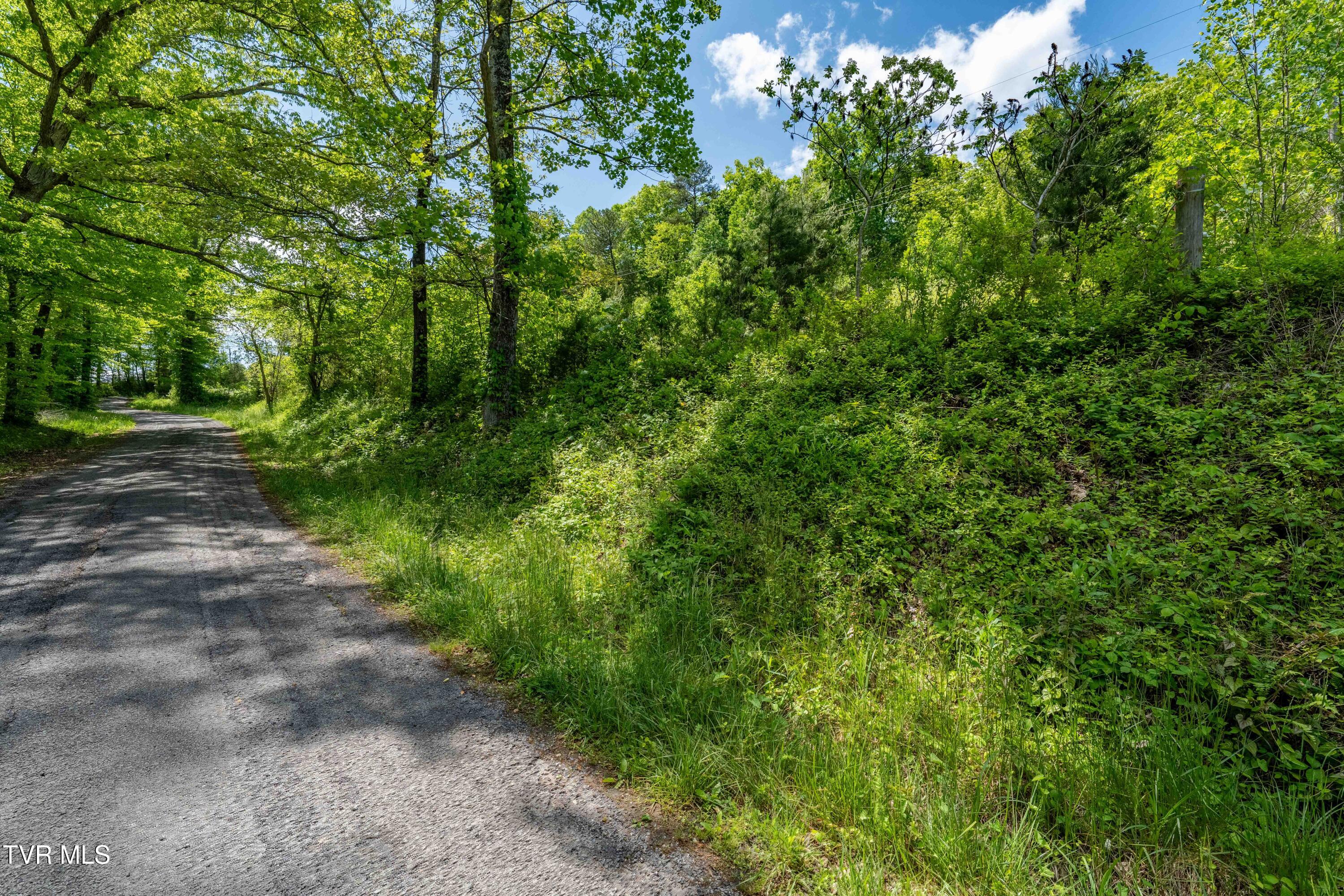 Tbd Fishers Creek Road, Rogersville, Tennessee image 34