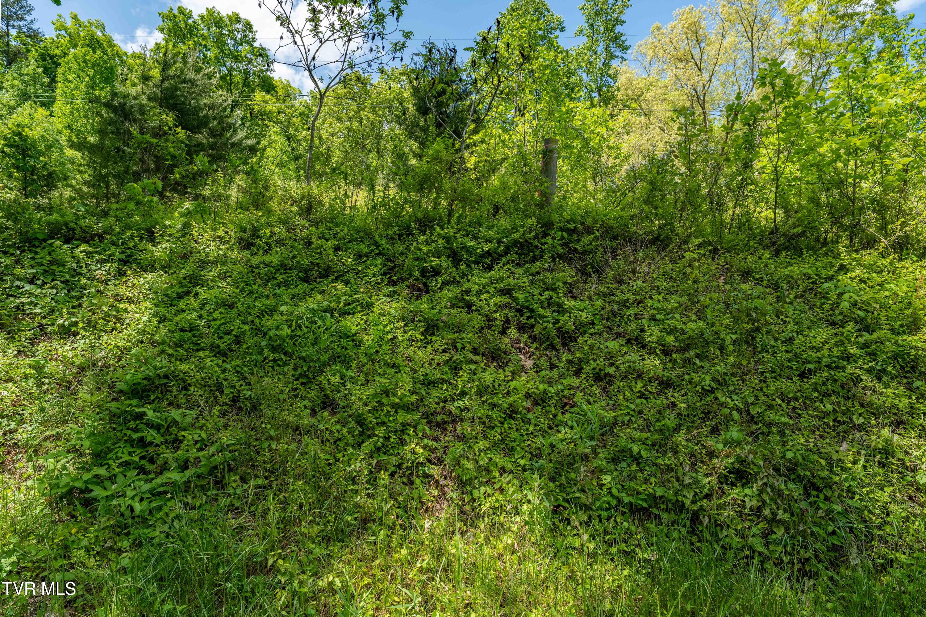 Tbd Fishers Creek Road, Rogersville, Tennessee image 33