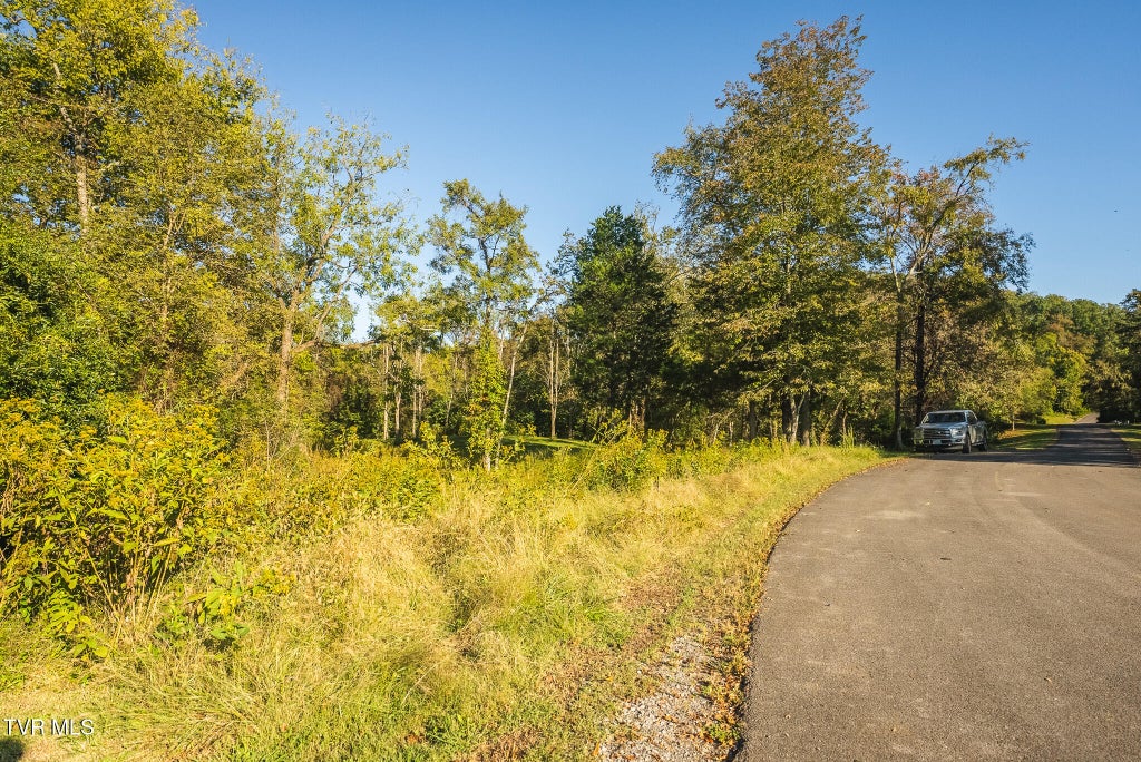 Photo of 27 Walnut Bend Drive, Whitesburg, TN 37891 (MLS # 10001822)