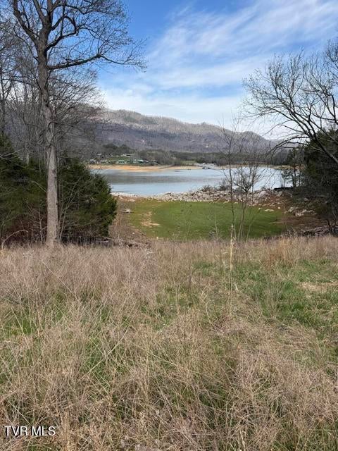 Photo of 27 Walnut Bend Drive, Whitesburg, TN 37891 (MLS # 10001822)