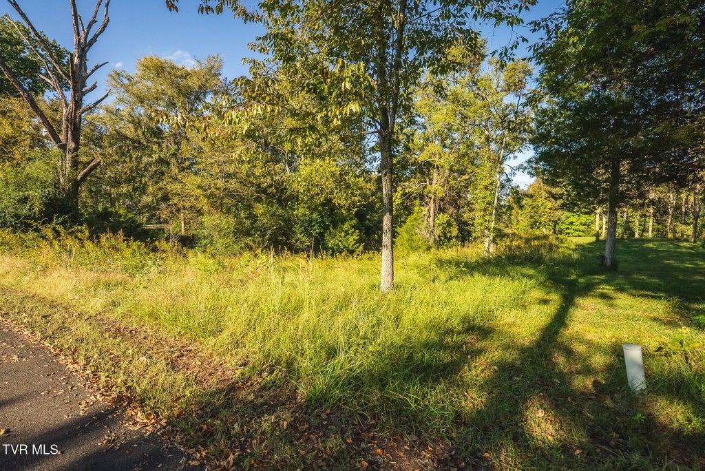 Photo of 27 Walnut Bend Drive, Whitesburg, TN 37891 (MLS # 10001822)