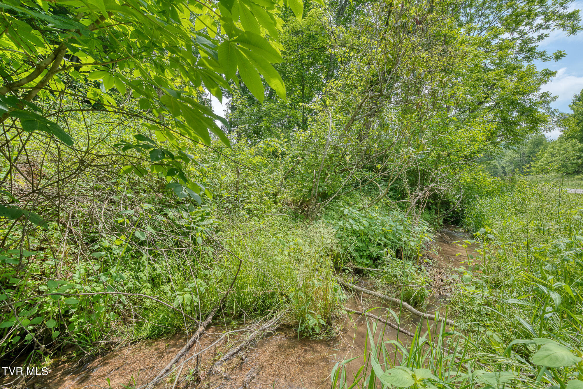 Tbd Crackers Neck Road, Mountain City, Tennessee image 22