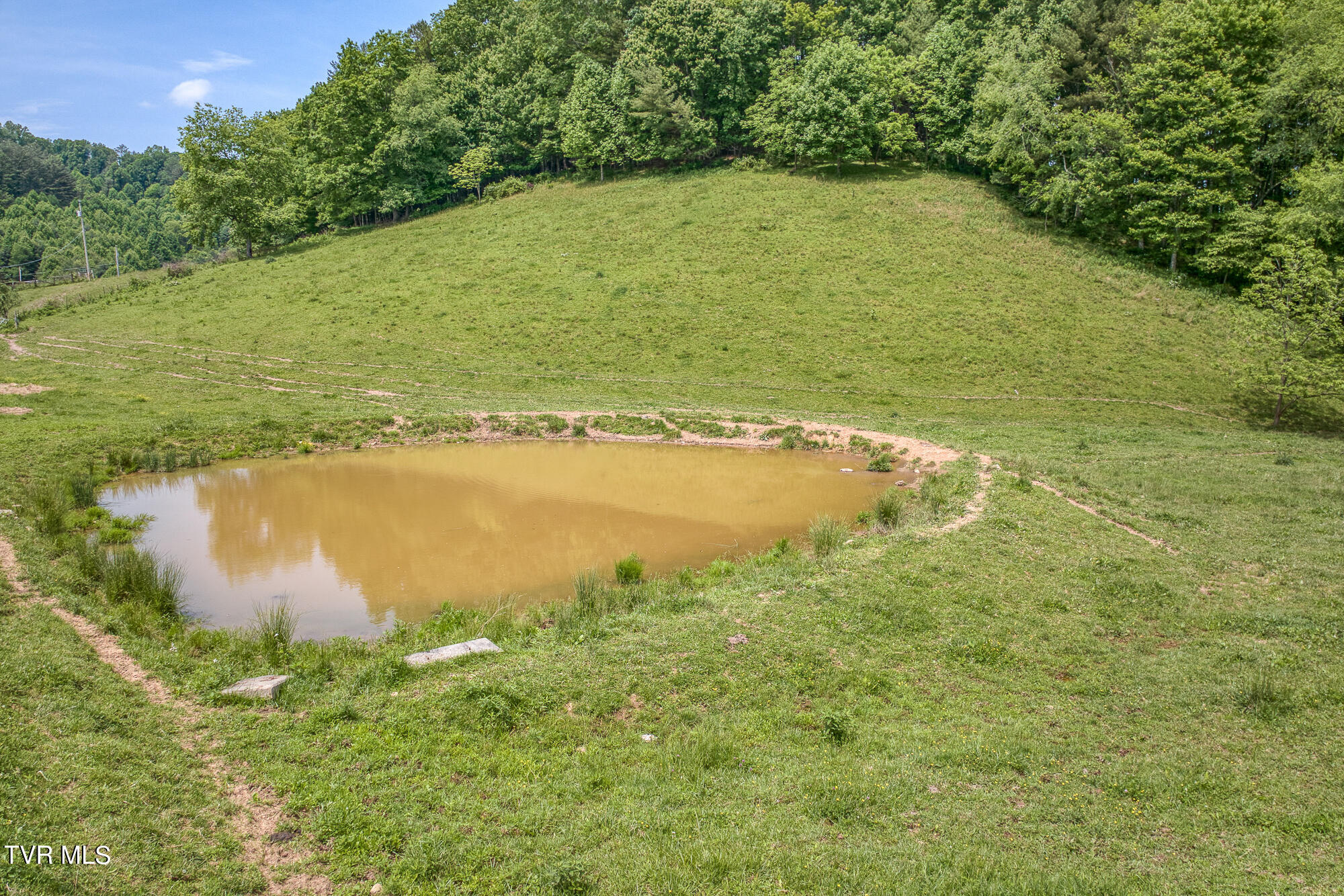 Tbd Crackers Neck Road, Mountain City, Tennessee image 16