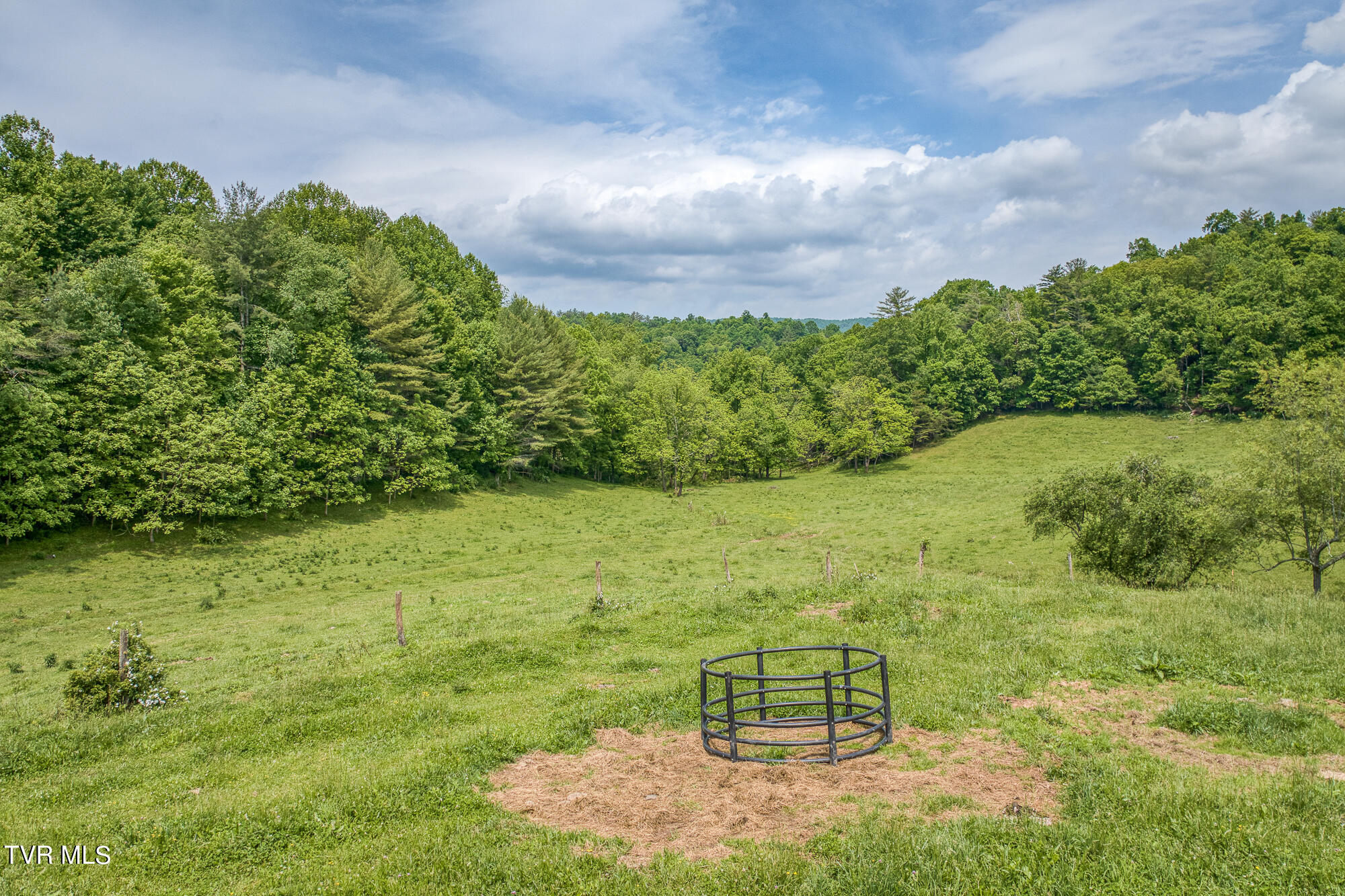 Tbd Crackers Neck Road, Mountain City, Tennessee image 17