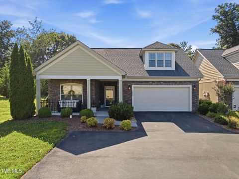 Photo of 1430 Hatterdale Farm Road, Blountville, TN 37617 (MLS # 9997702)